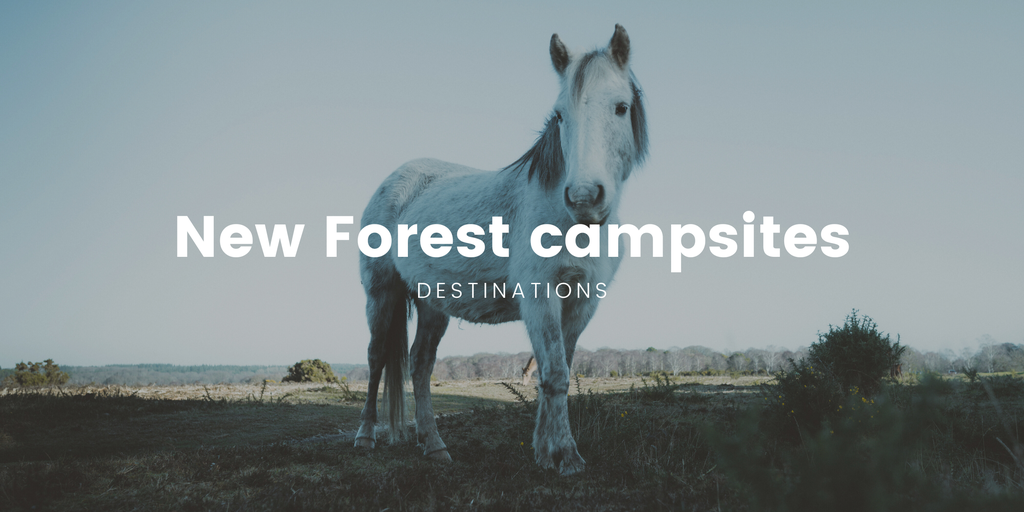 Tents pitched at a New Forest campsite, surrounded by trees. Camping in the New Forest National Park.