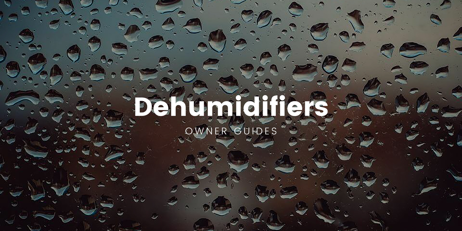 Motorhome parked up near a scenic Kiwi beach, blue skies above.