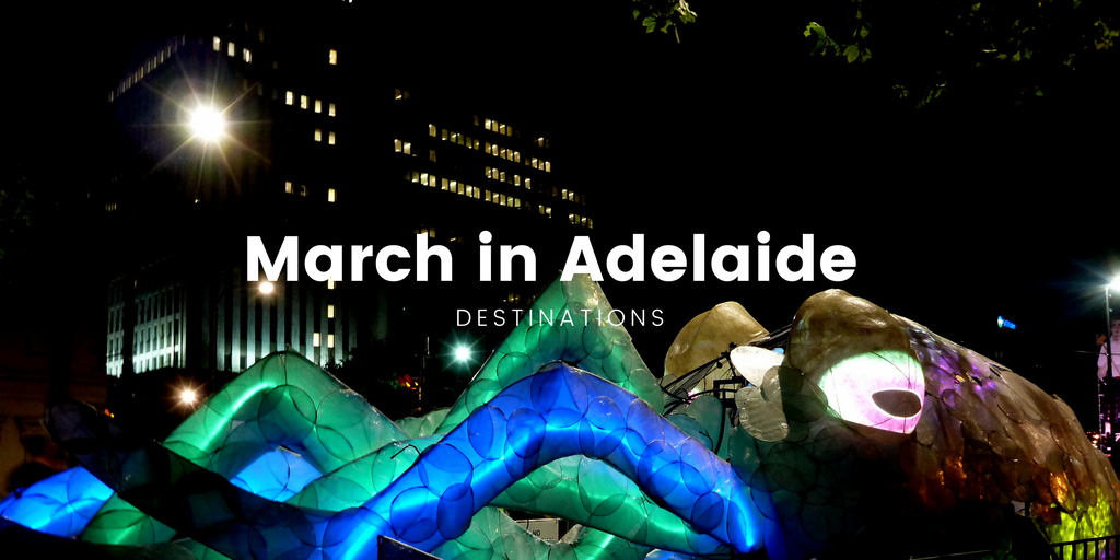 Adelaide Fringe performer silhouetted against bright lights, with festival crowds in background.