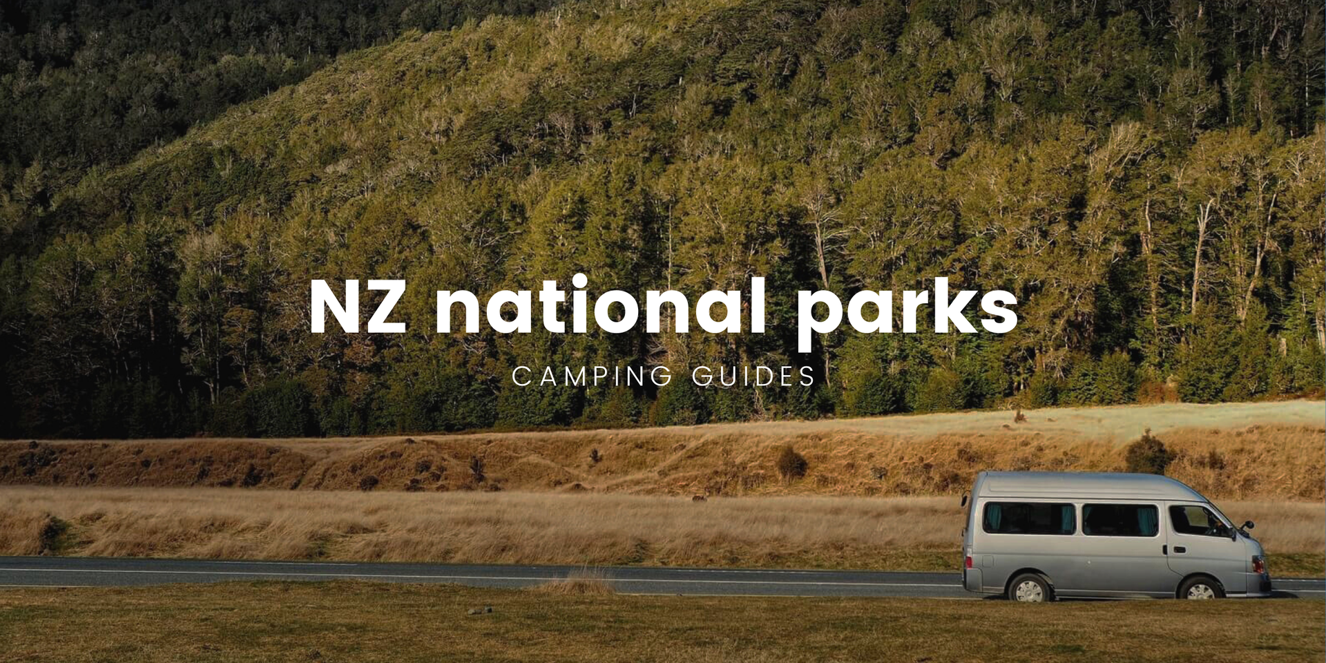 Tent nestled amongst ferns in a lush NZ national park, ready for a camping adventure.