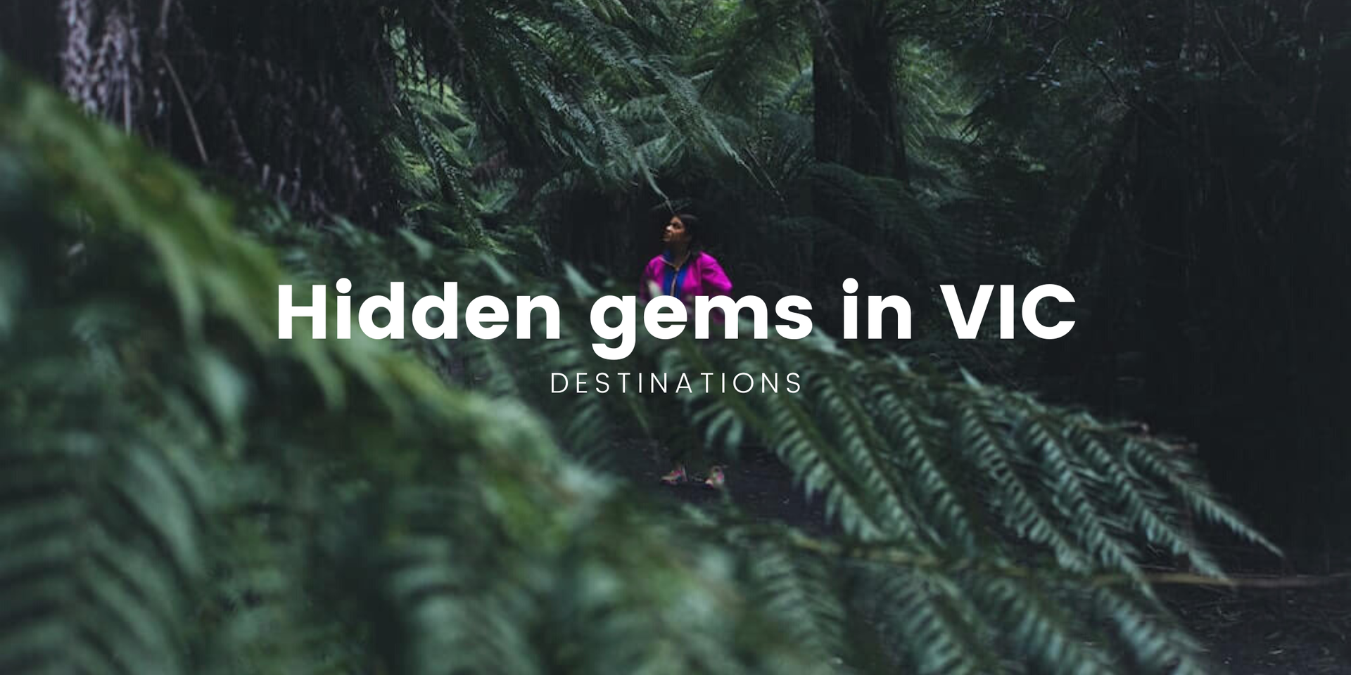 Campervan parked at a scenic Victorian campsite, ready for a road trip adventure.