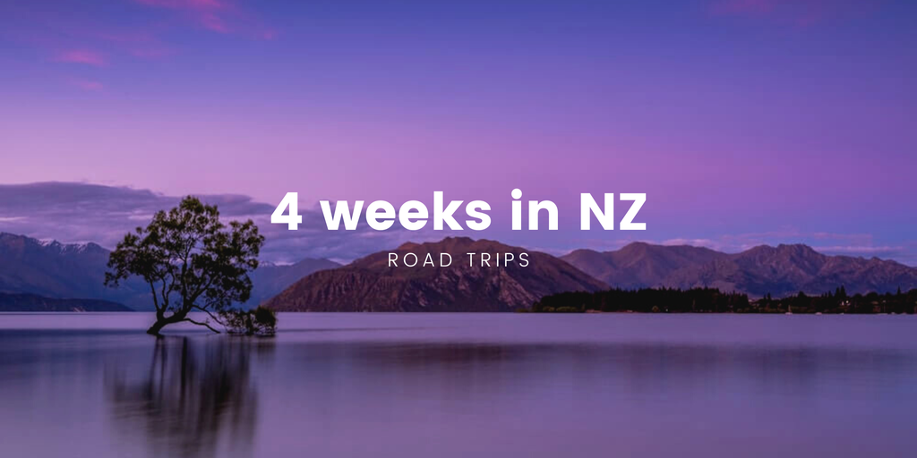 Campervan overlooking a stunning turquoise lake in the South Island, perfect for a Kiwi roadie.