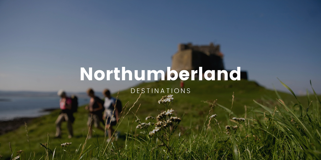 Campervan parked at a scenic Northumberland campsite with views across rolling countryside.
