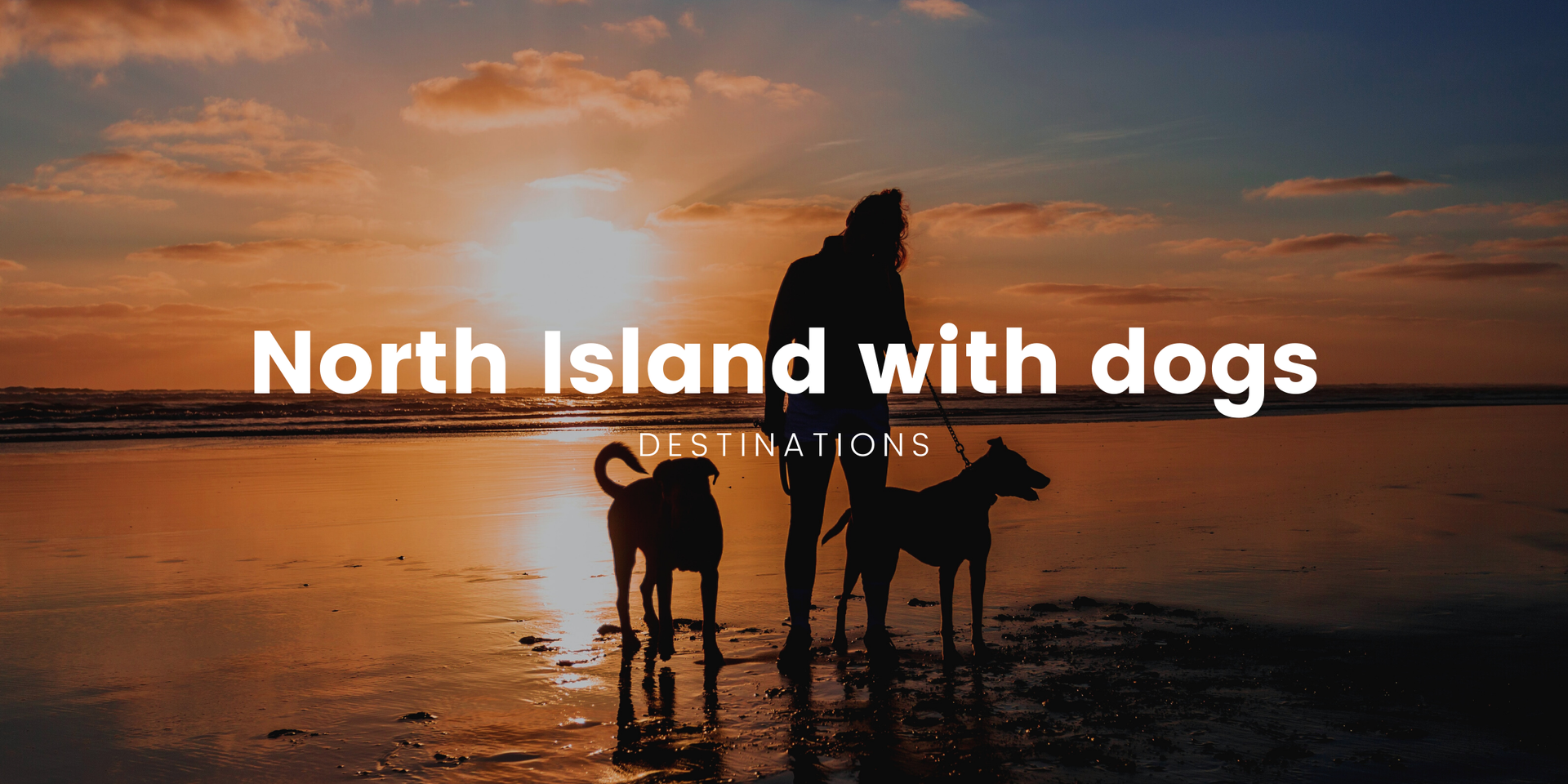 Dog-friendly campervan parked at scenic North Island campsite with lake view.