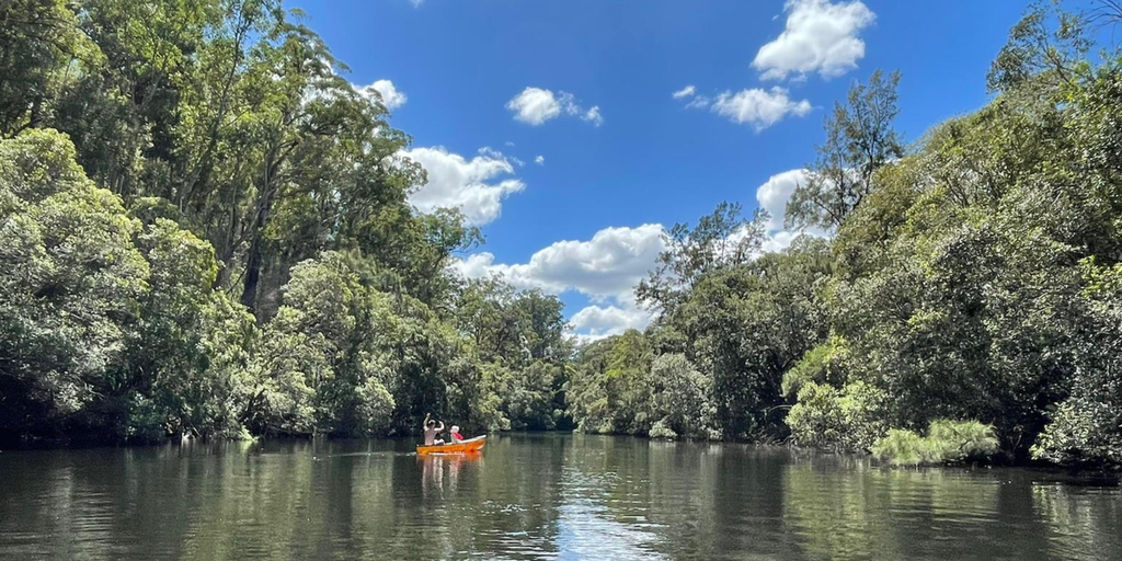 Swimmer's paradise! Tent pitched beside a crystal-clear Aussie billabong for a bonza camping holiday.