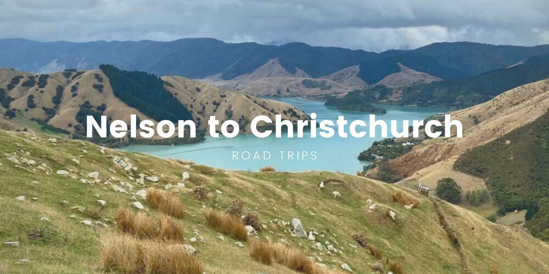 Campervan parked at a scenic South Island lookout, perfect for a Nelson to Christchurch roadie.