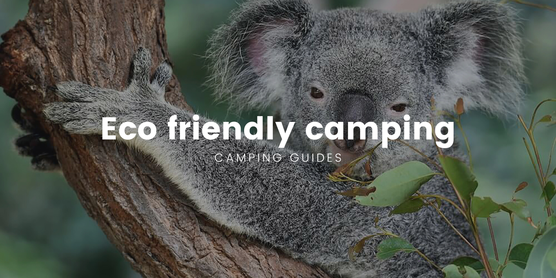 Campervan at bush campsite in the Aussie outback, promoting sustainable camping and travel.