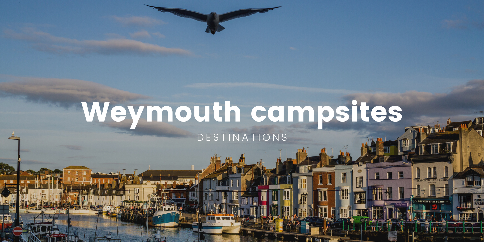 Tents pitched at Weymouth campsite on sunny day, Dorset coastline in background.