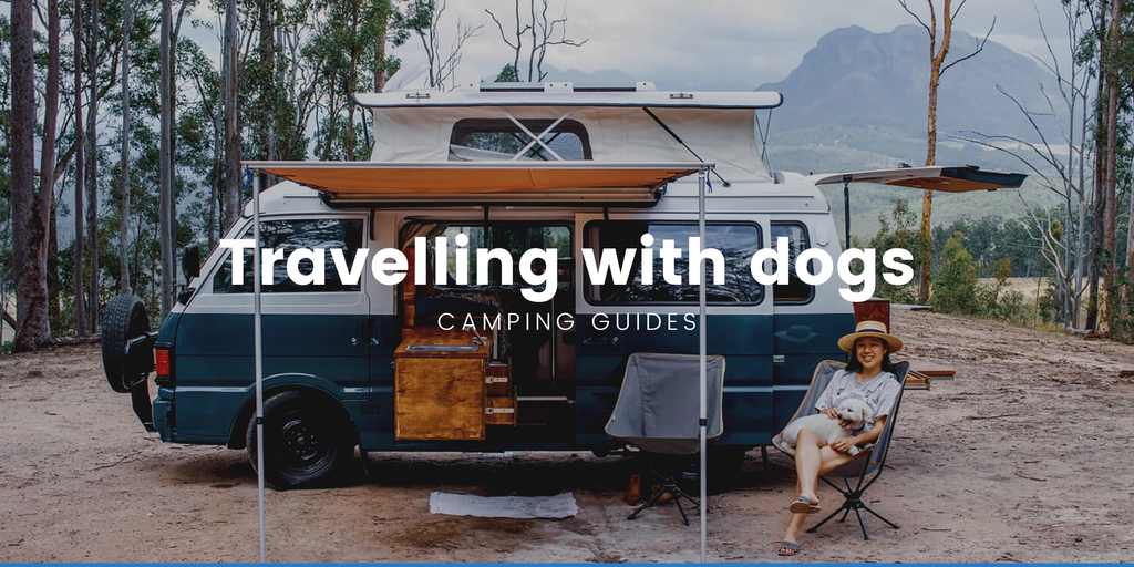 Dog looking out car window on outback road trip. Aussie adventure!