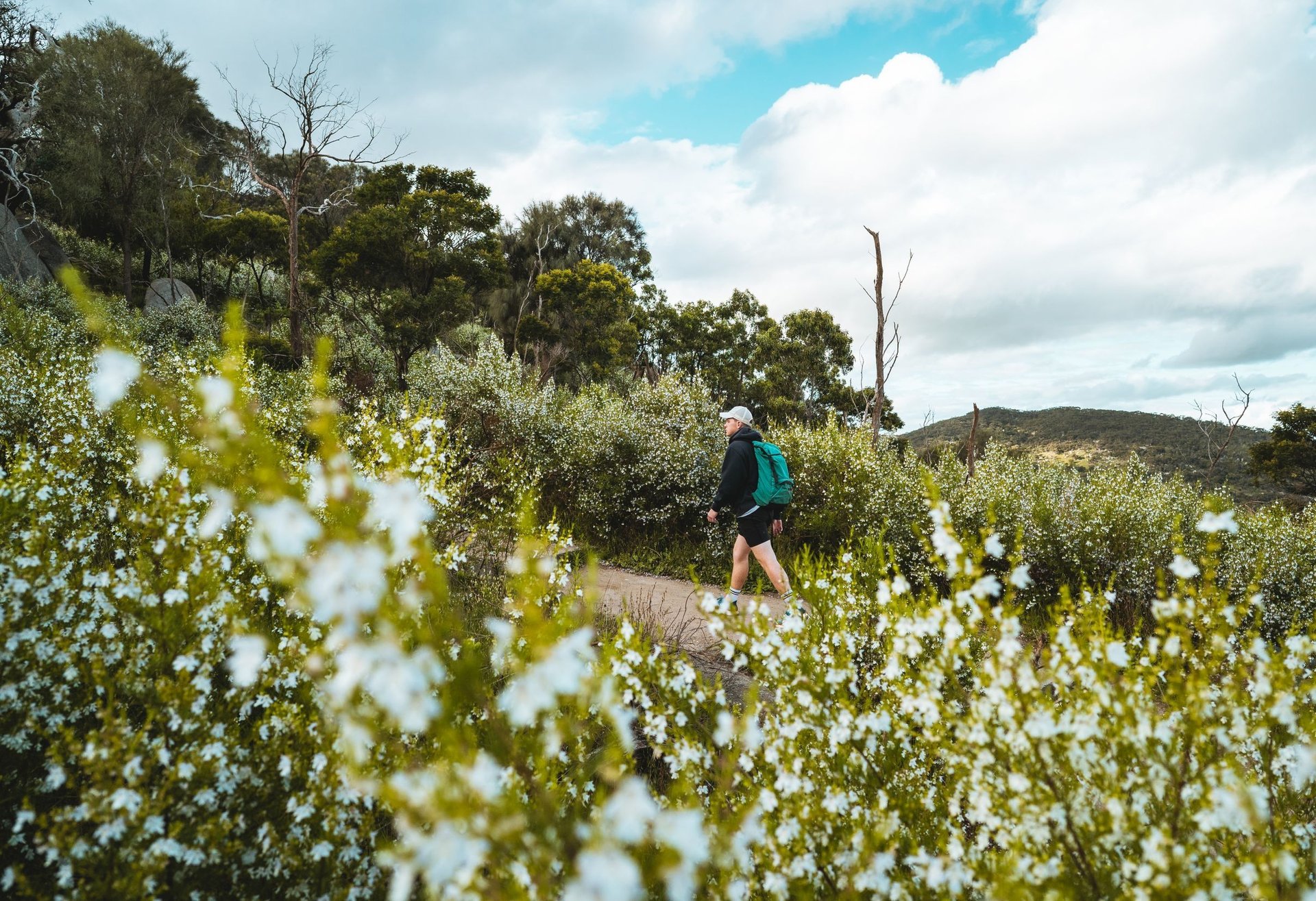 You Yangs Regional Park