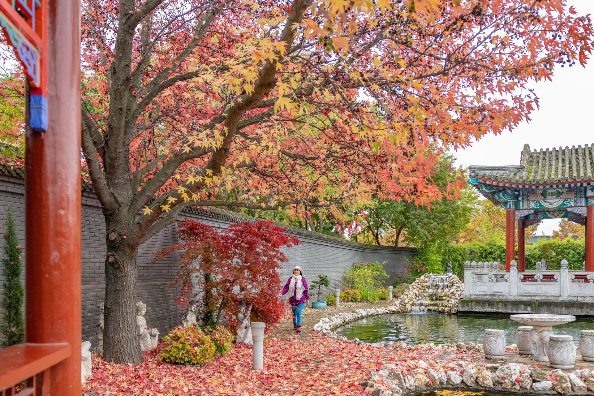 Golden Dragon Museum