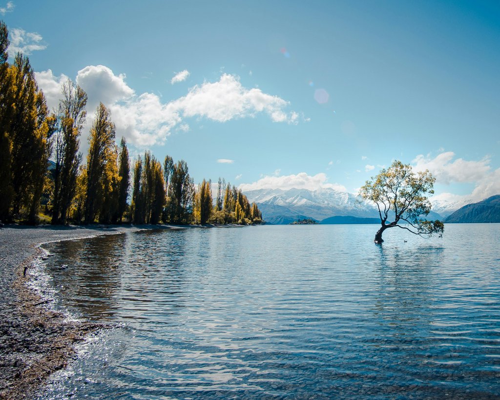 The van adventurer's guide to Wānaka