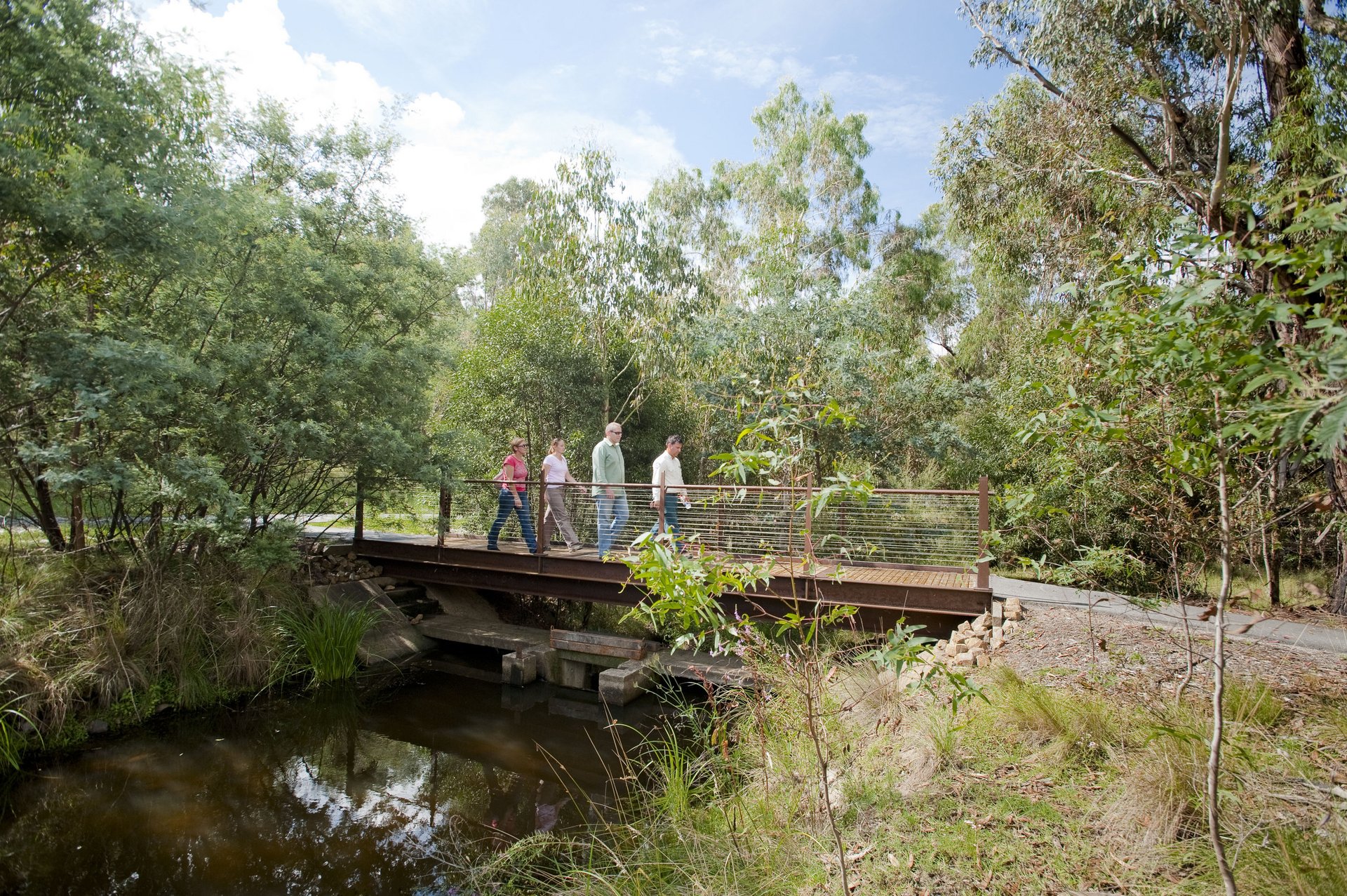 4 people walking across a bridge in a nature reserve