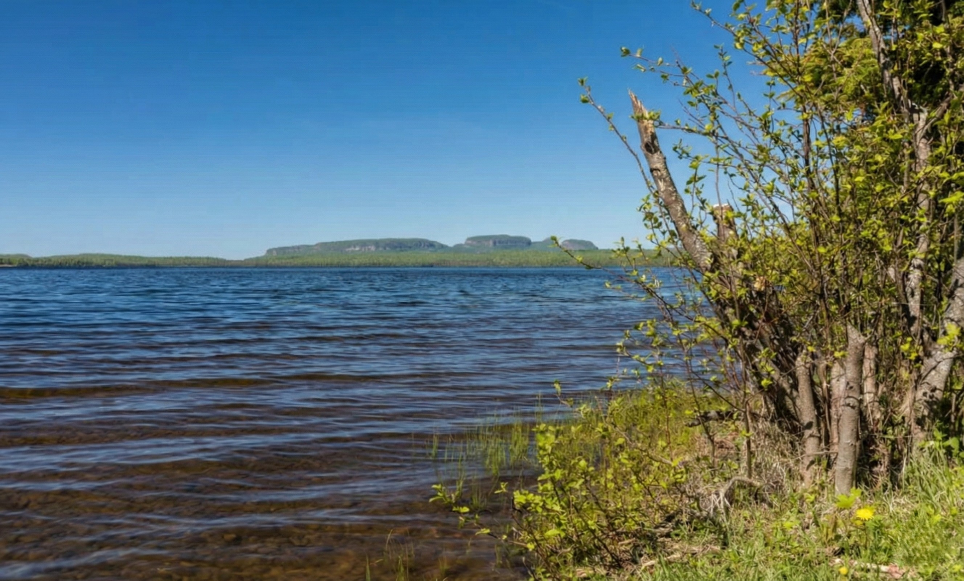 A Traveller's Guide to Lake Macquarie