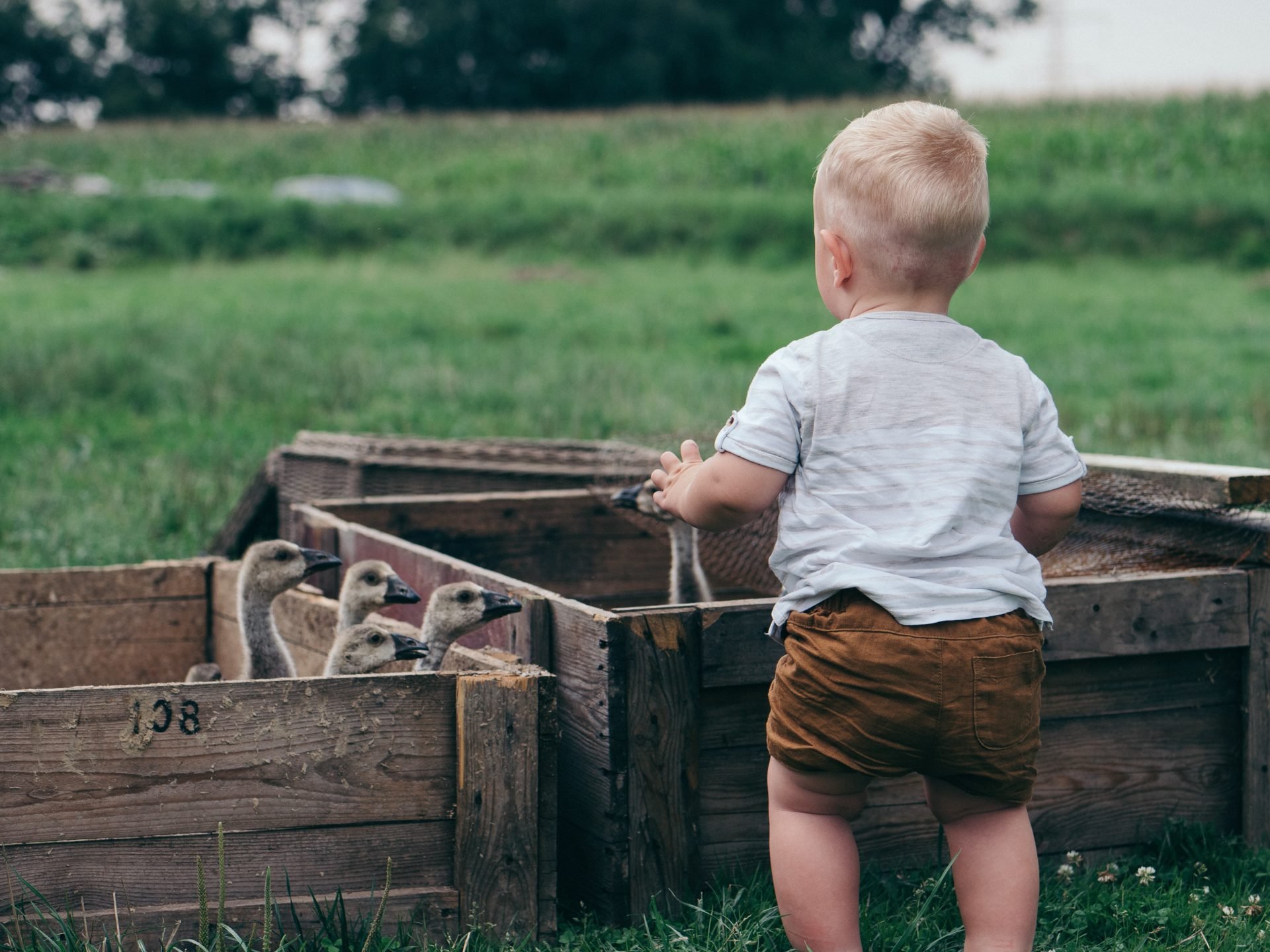 Urlaub mit Kindern in Deutschland: Reiseziele und Tipps
