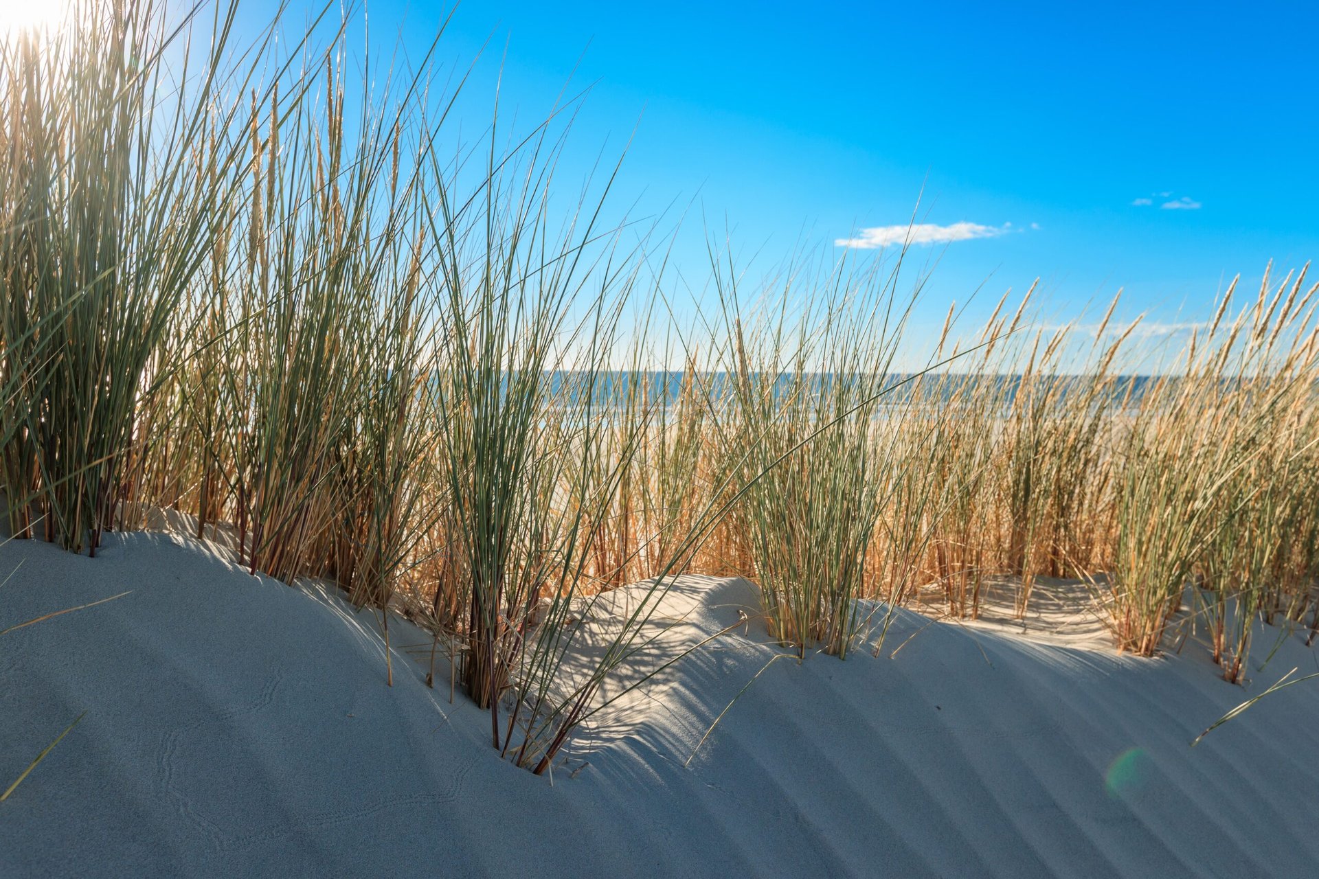 Campingplätze Mecklenburg Vorpommern