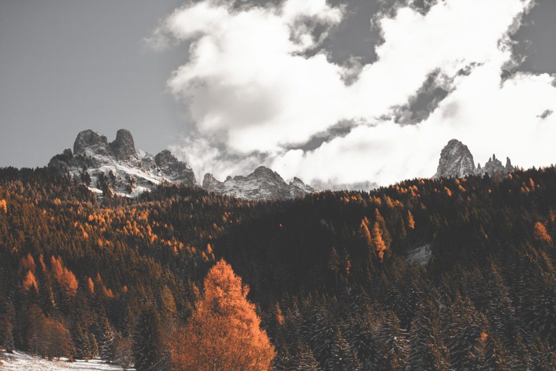 Beleef de gouden herfst in Zuid-Tirol - daniel plan I99gqjQ4DuY unsplash 1024x683