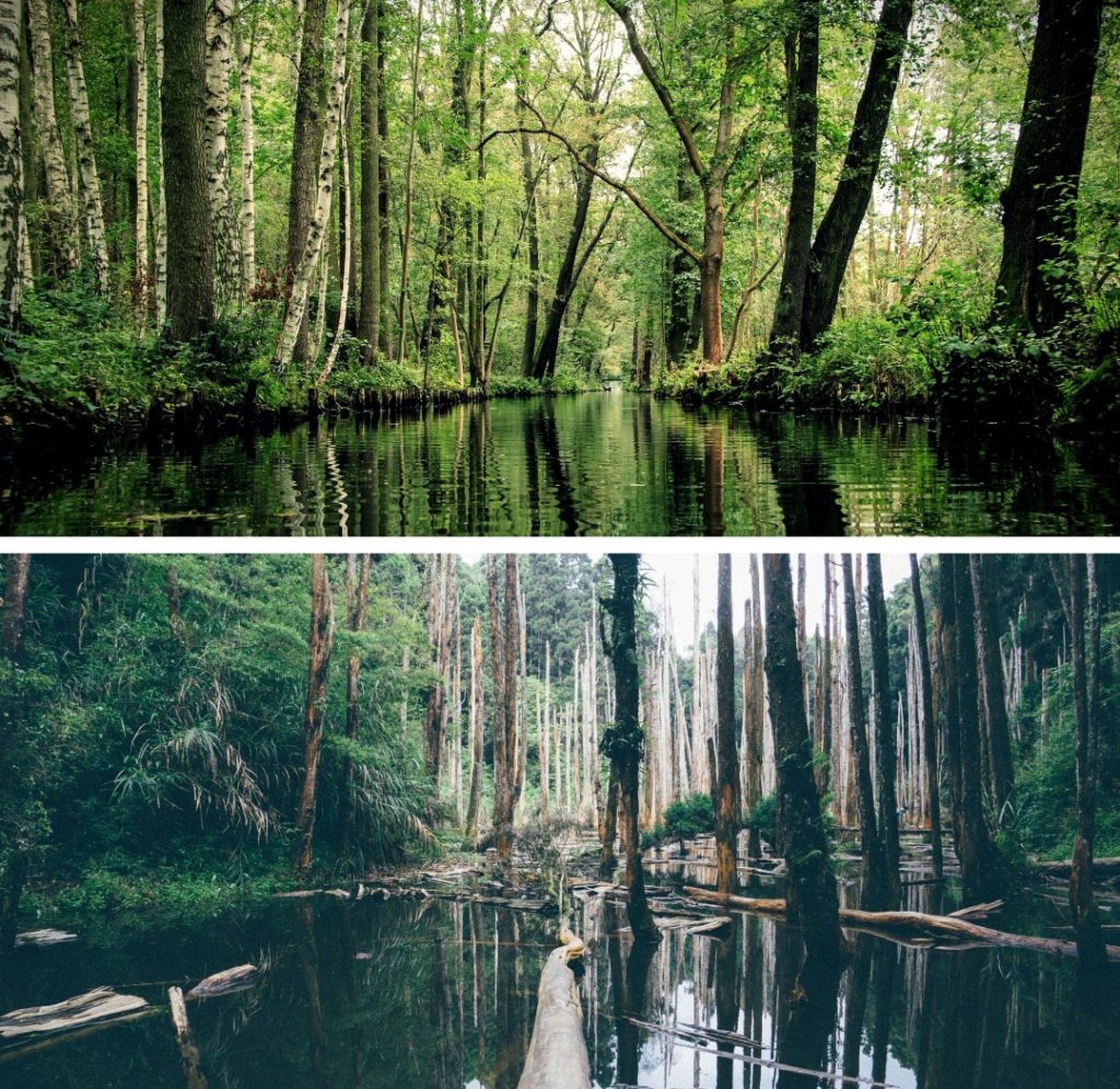 Urlaub mit dem Camper im Spreewald