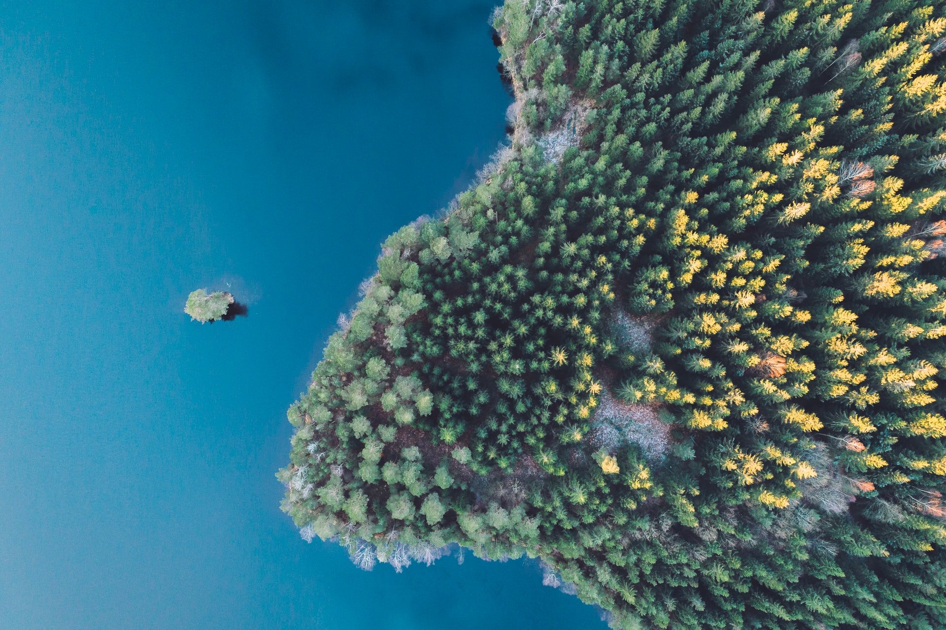 See Schweden Vogelperspektive Wald Natur