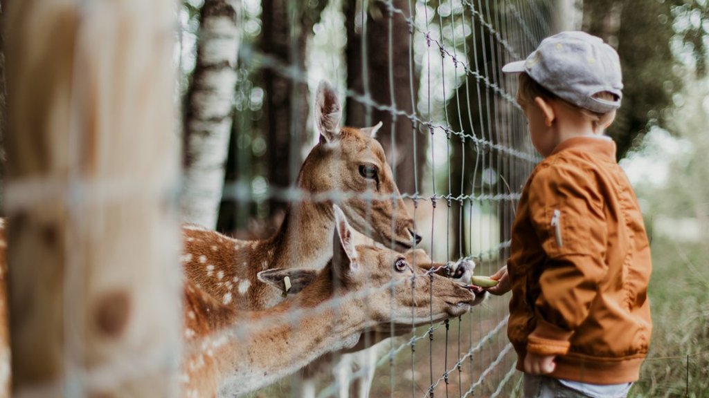 Camping Header: Ausflüge rund um Köln