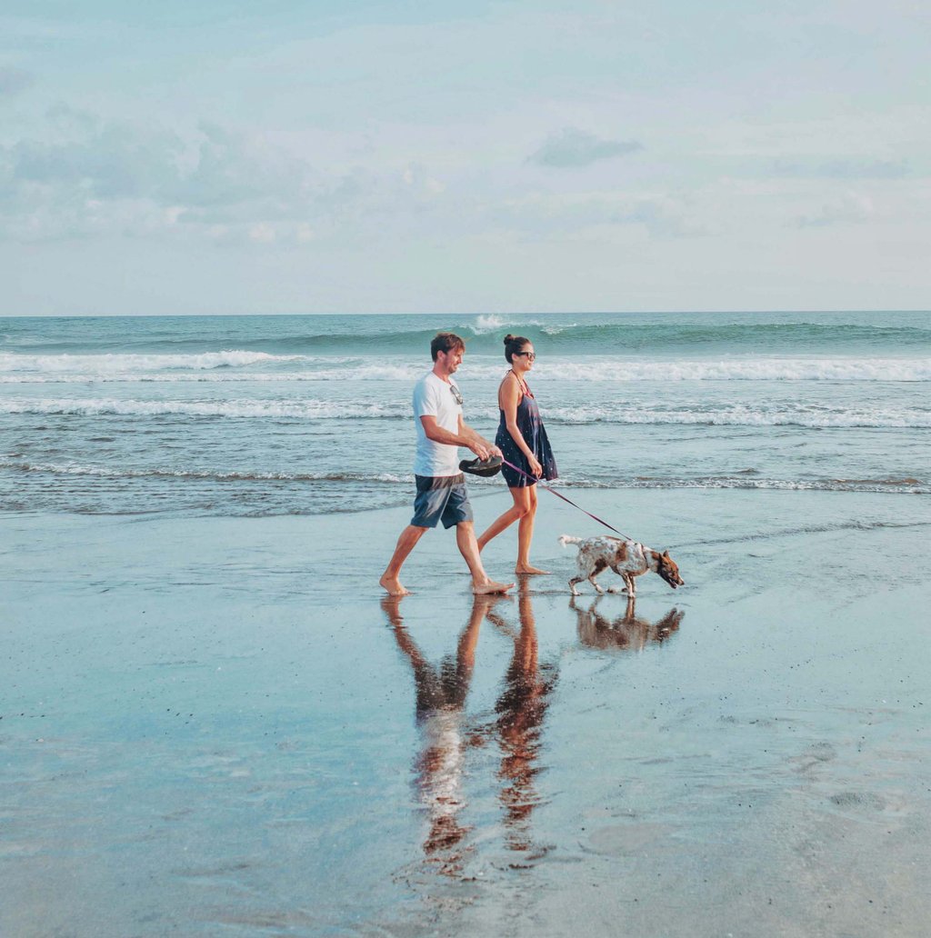 Camping Ostsee mit Hund