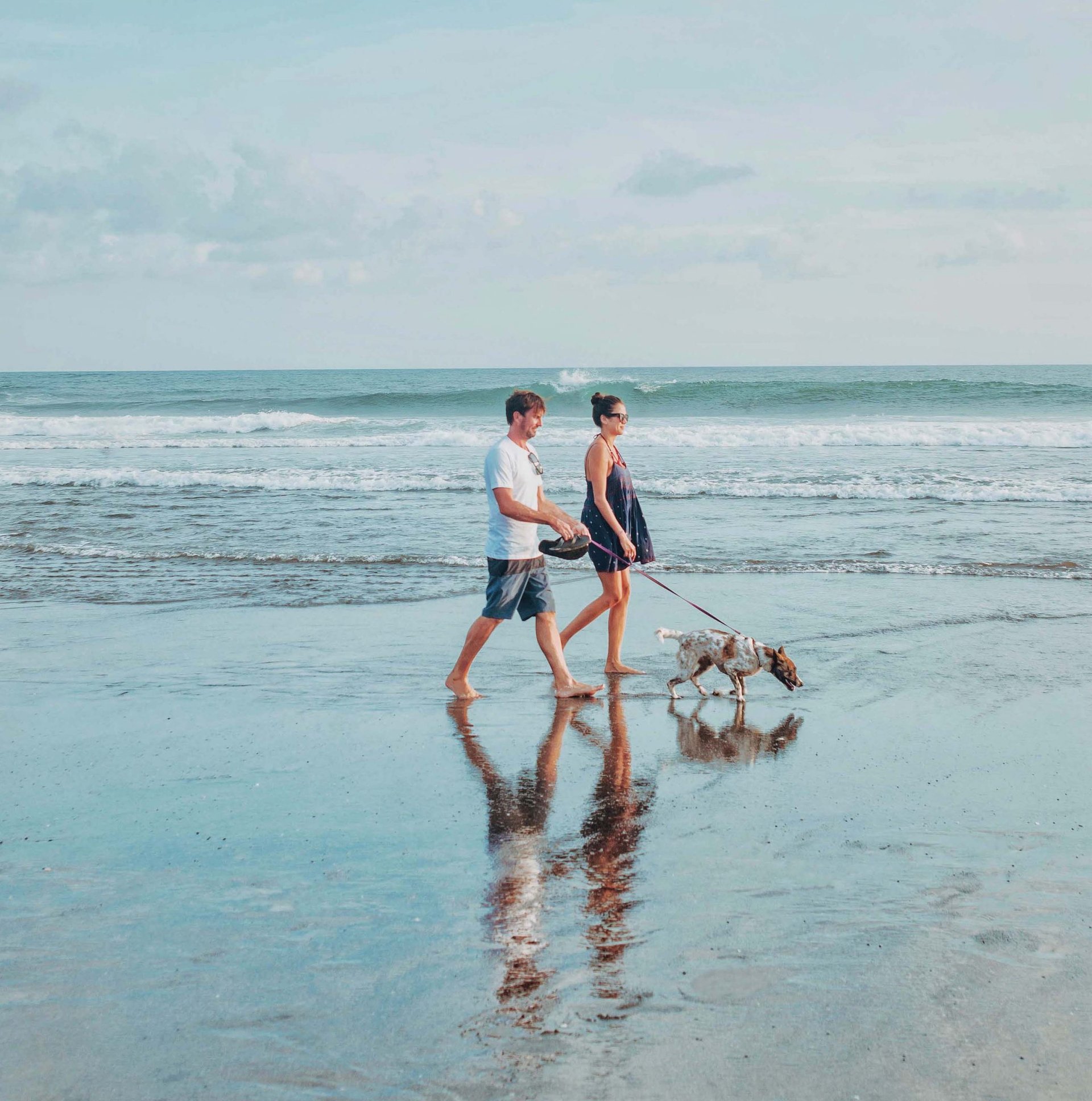 Sonniger Campingplatz an der Ostsee: Dein Hund freut sich auf Urlaub!