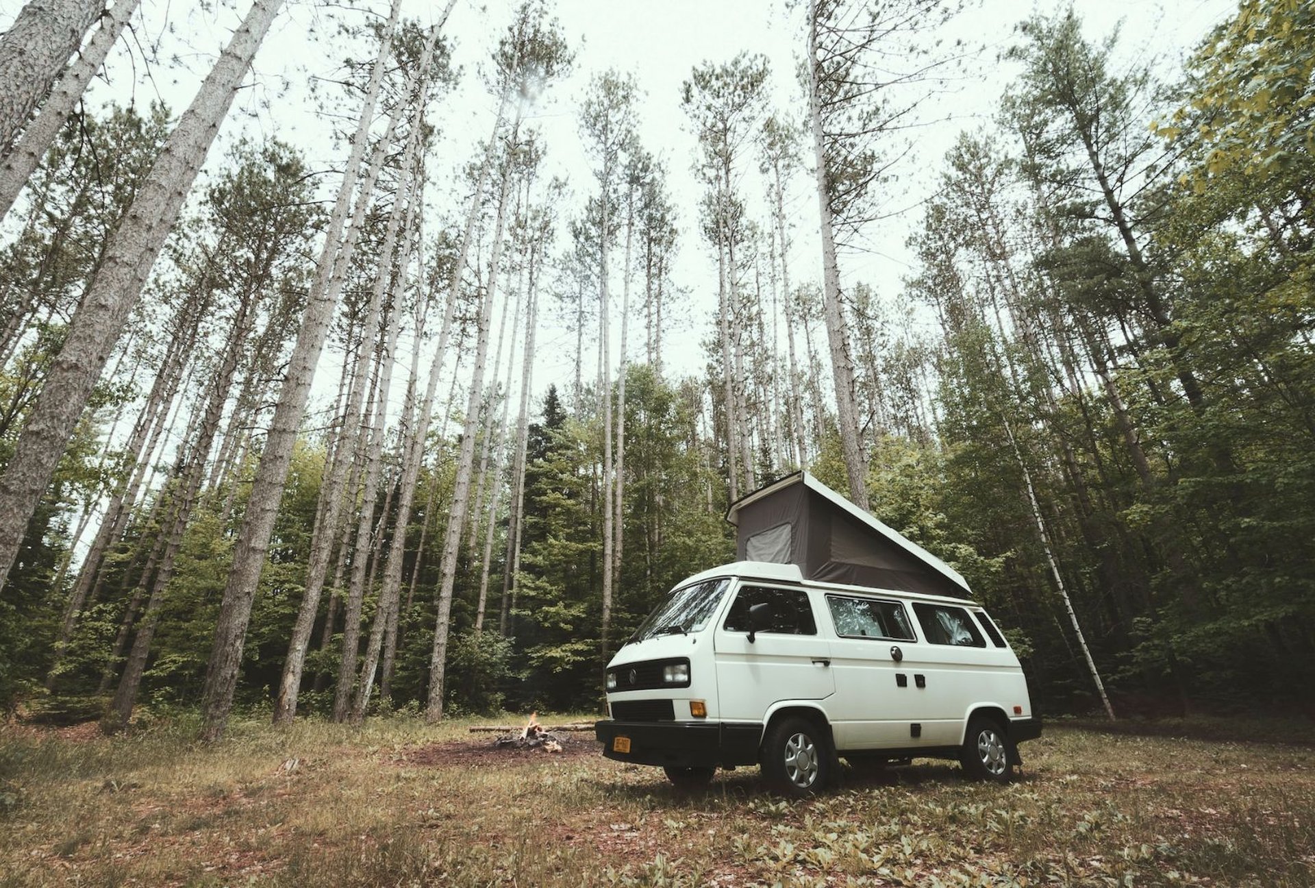 Camping im Wald