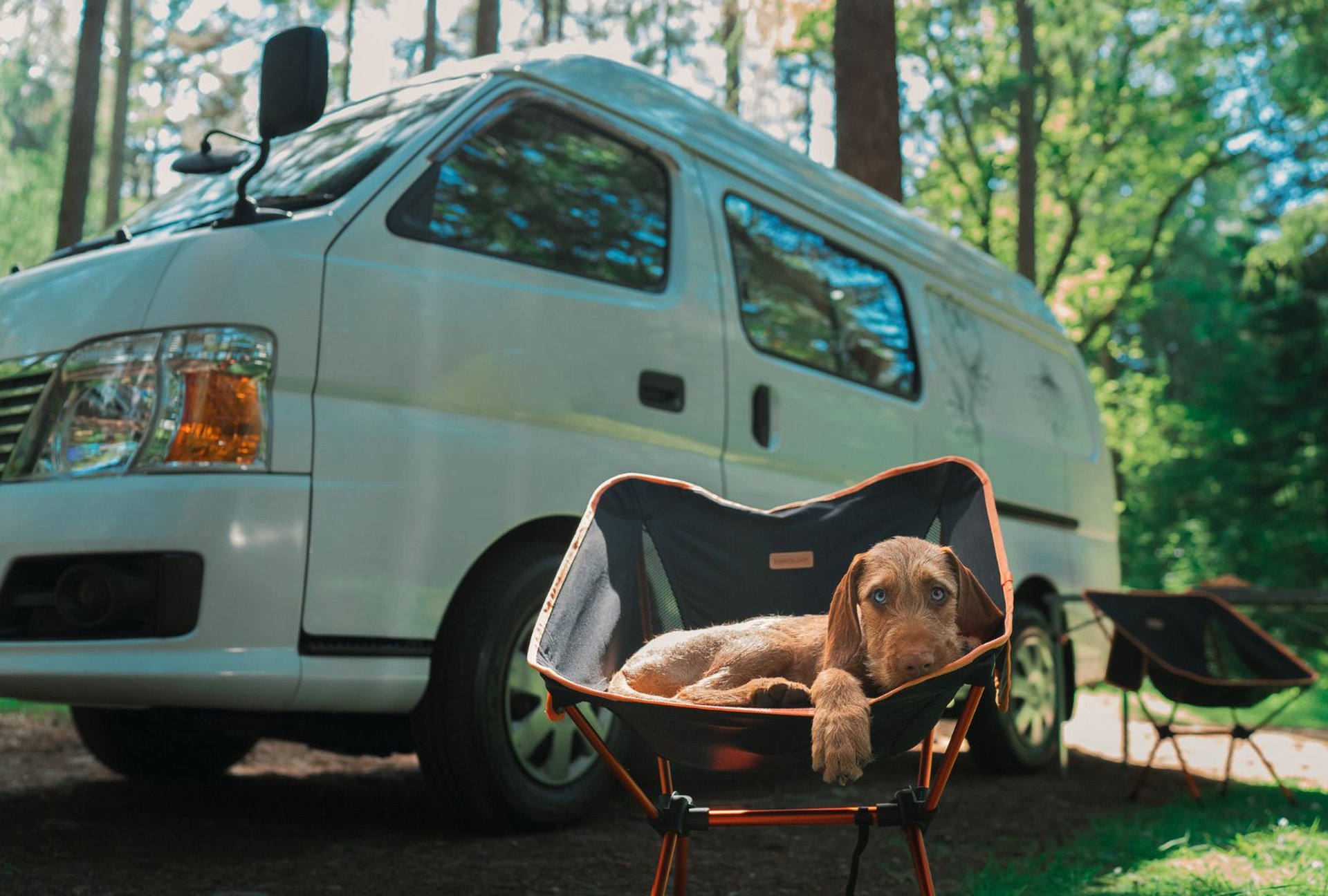 Campingurlaub mit Hund