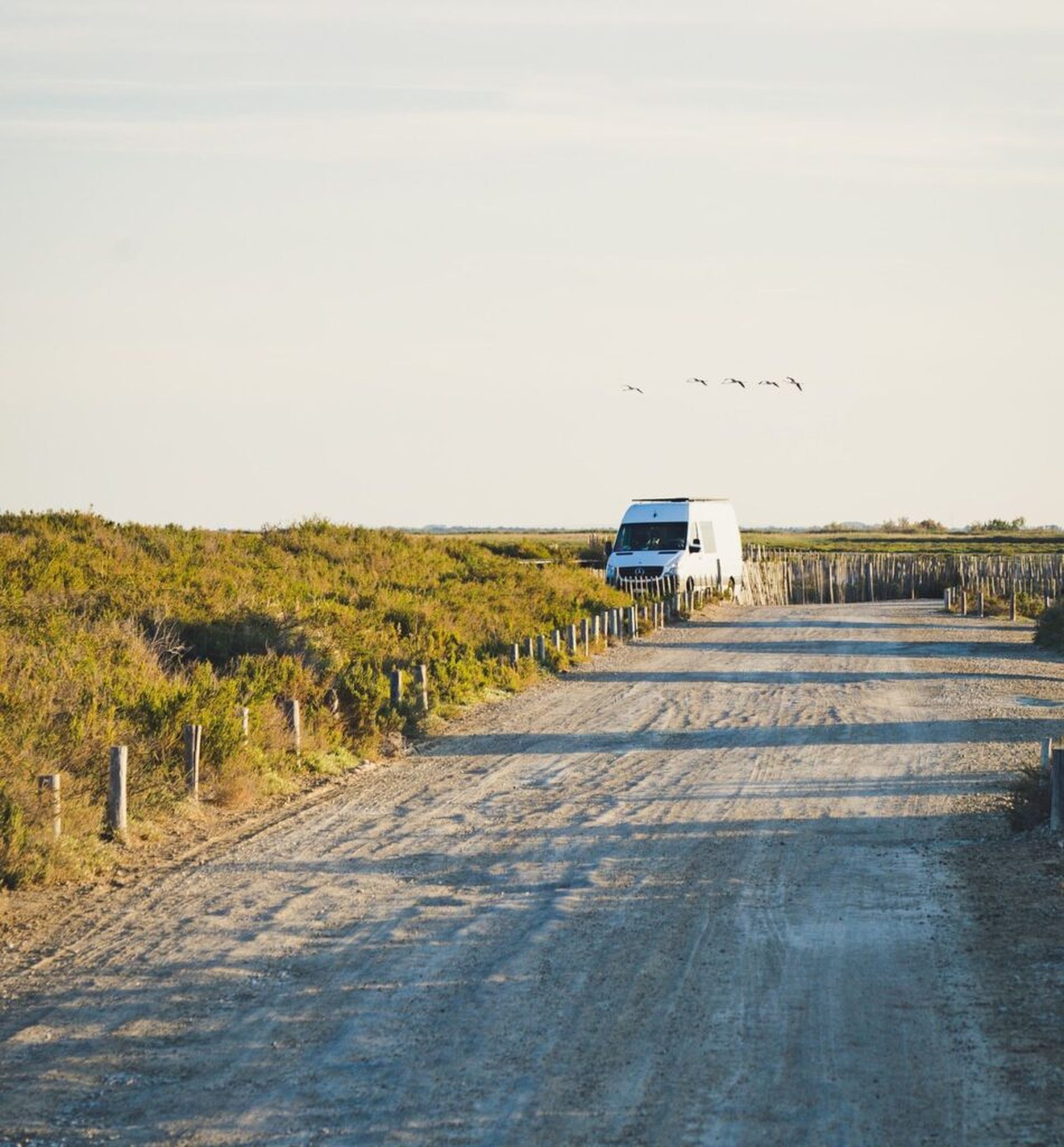 Das sind die schönsten Campingplätze in Holland am Meer