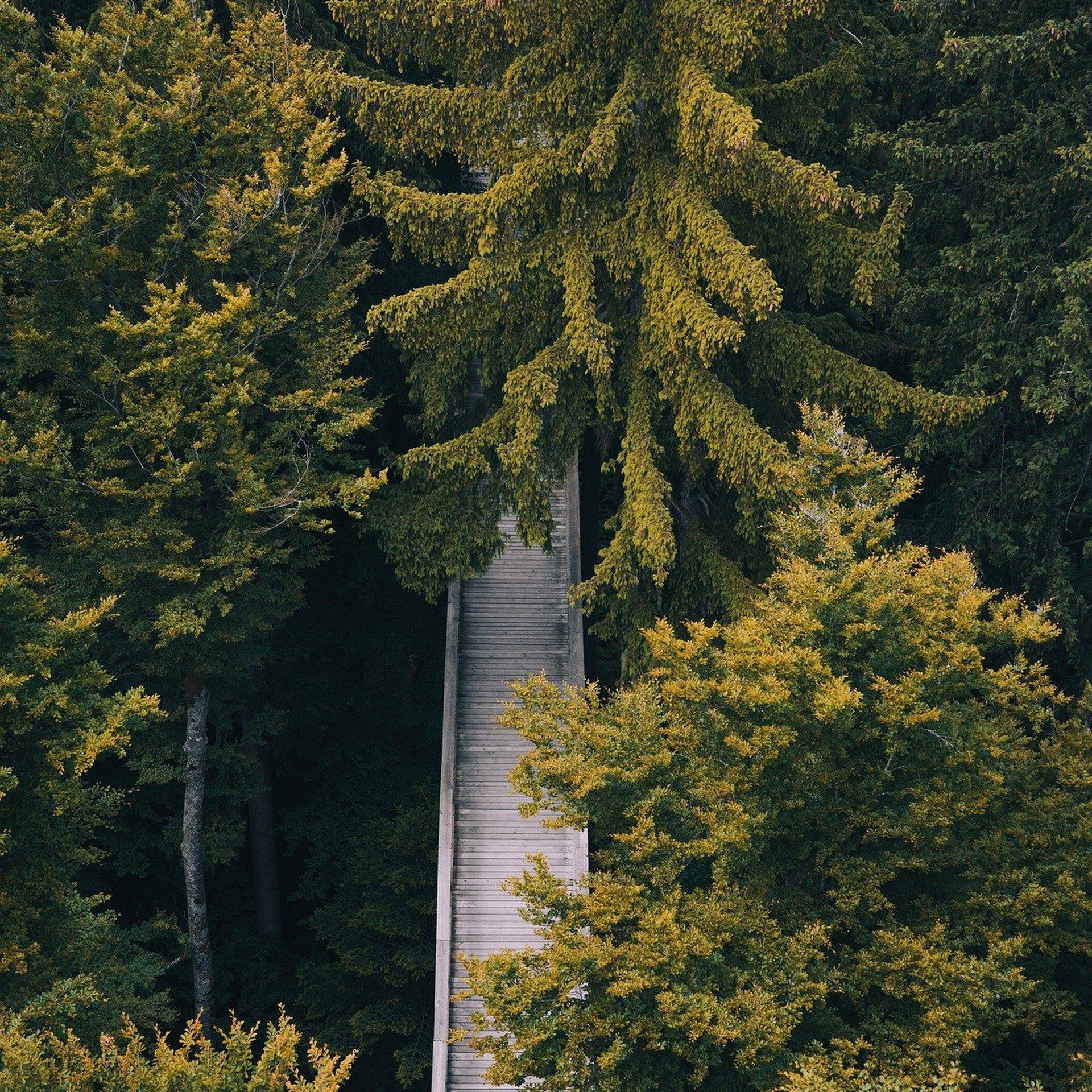 Bayerischer Wald von oben