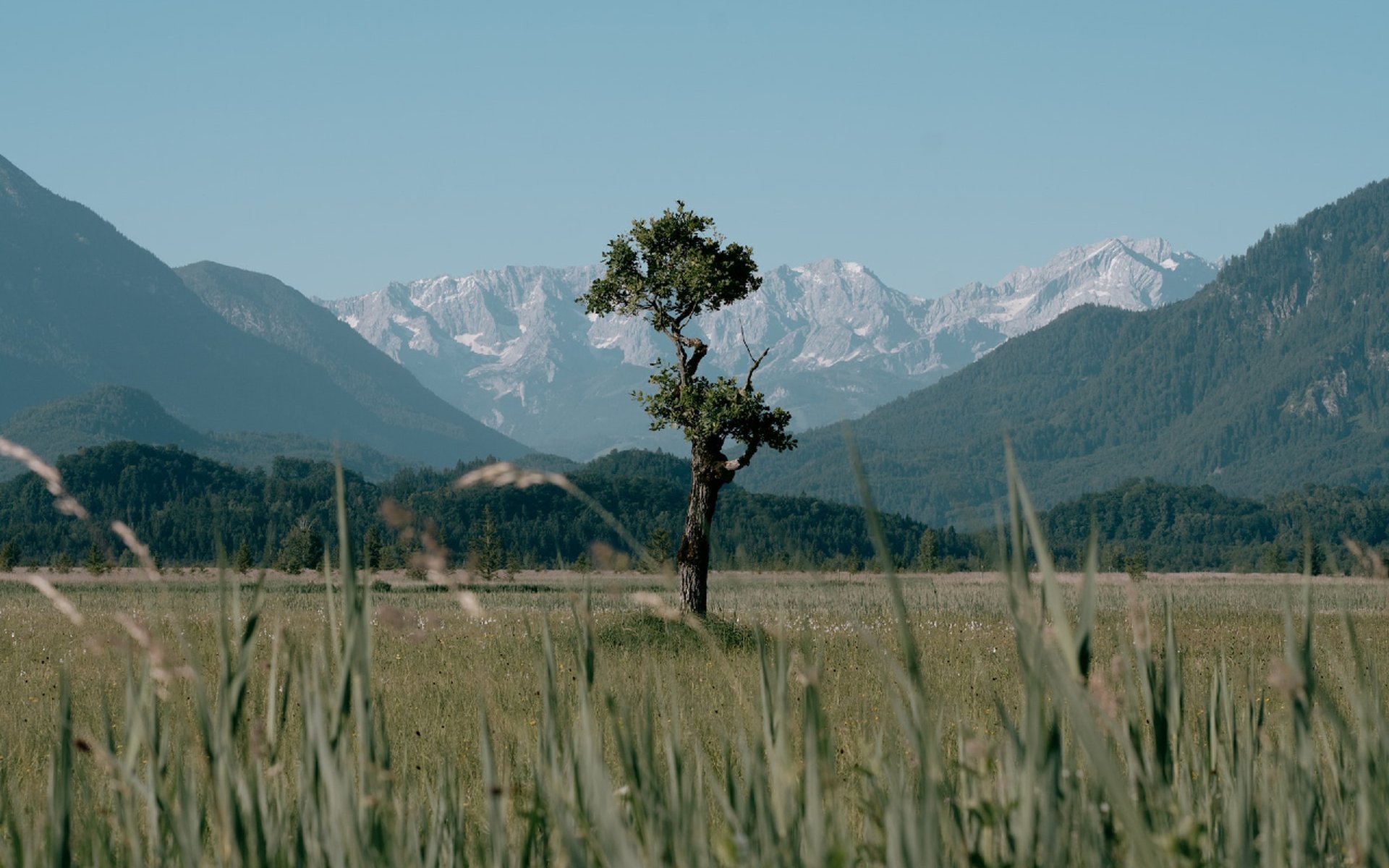 Camping Riegsee Murnau
