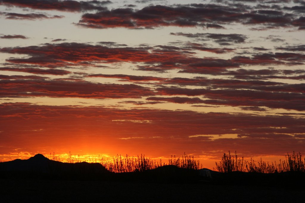 Hired campervan parked on red dirt, South Australian outback adventure.