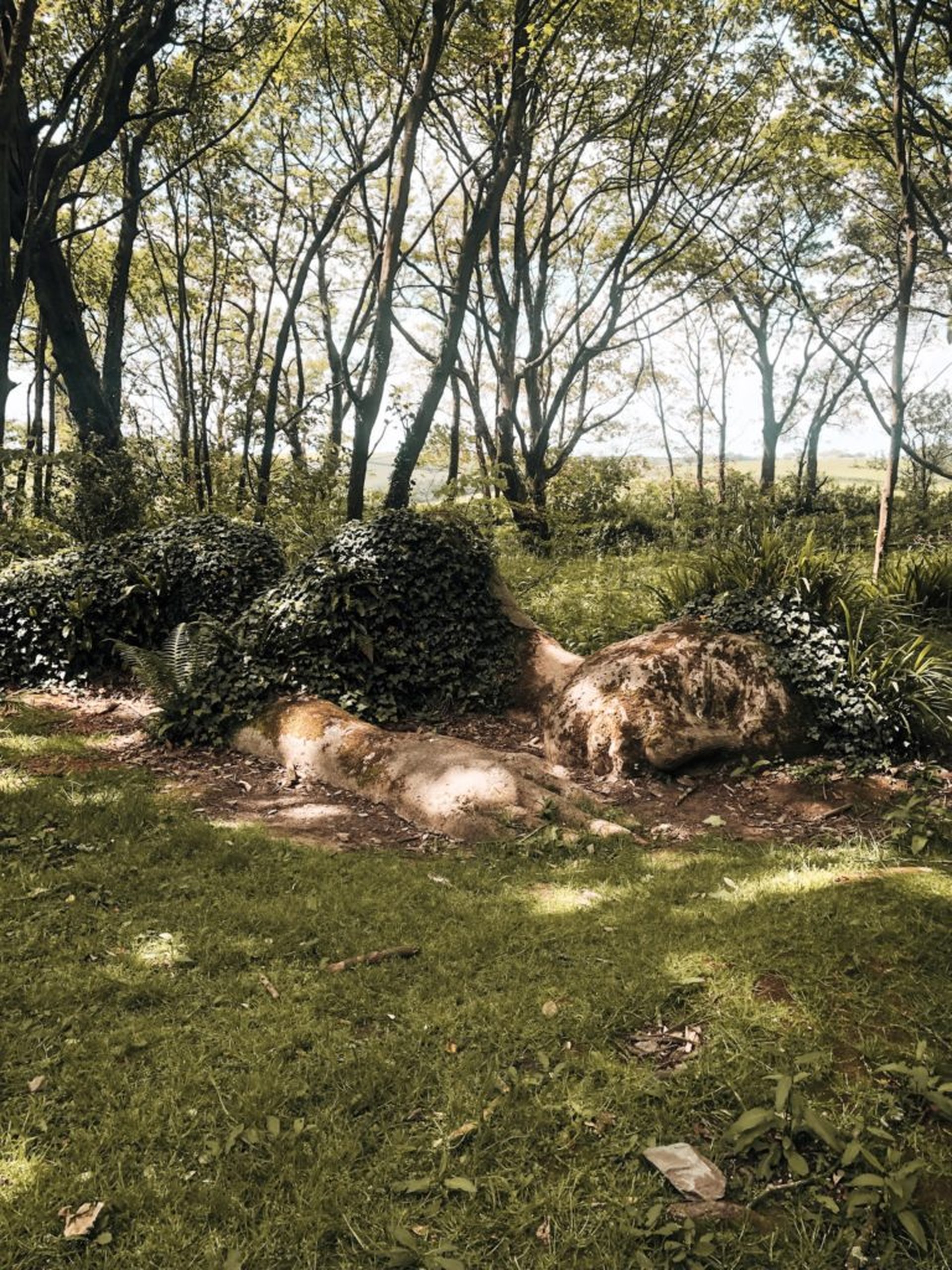 Ausflugsziele für Kinder in Cornwall - 1 768x1024