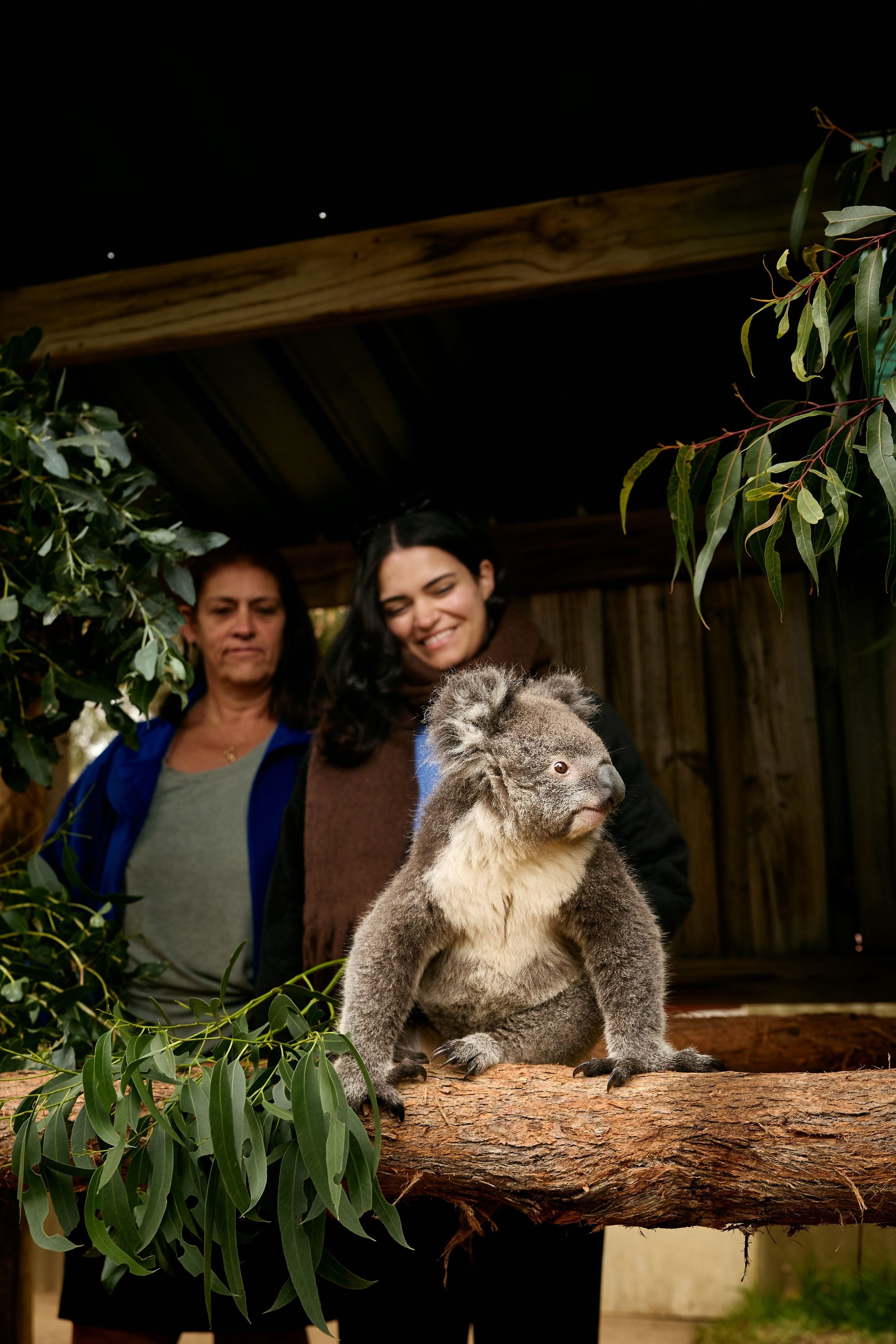 Ballarat Wildlife Park