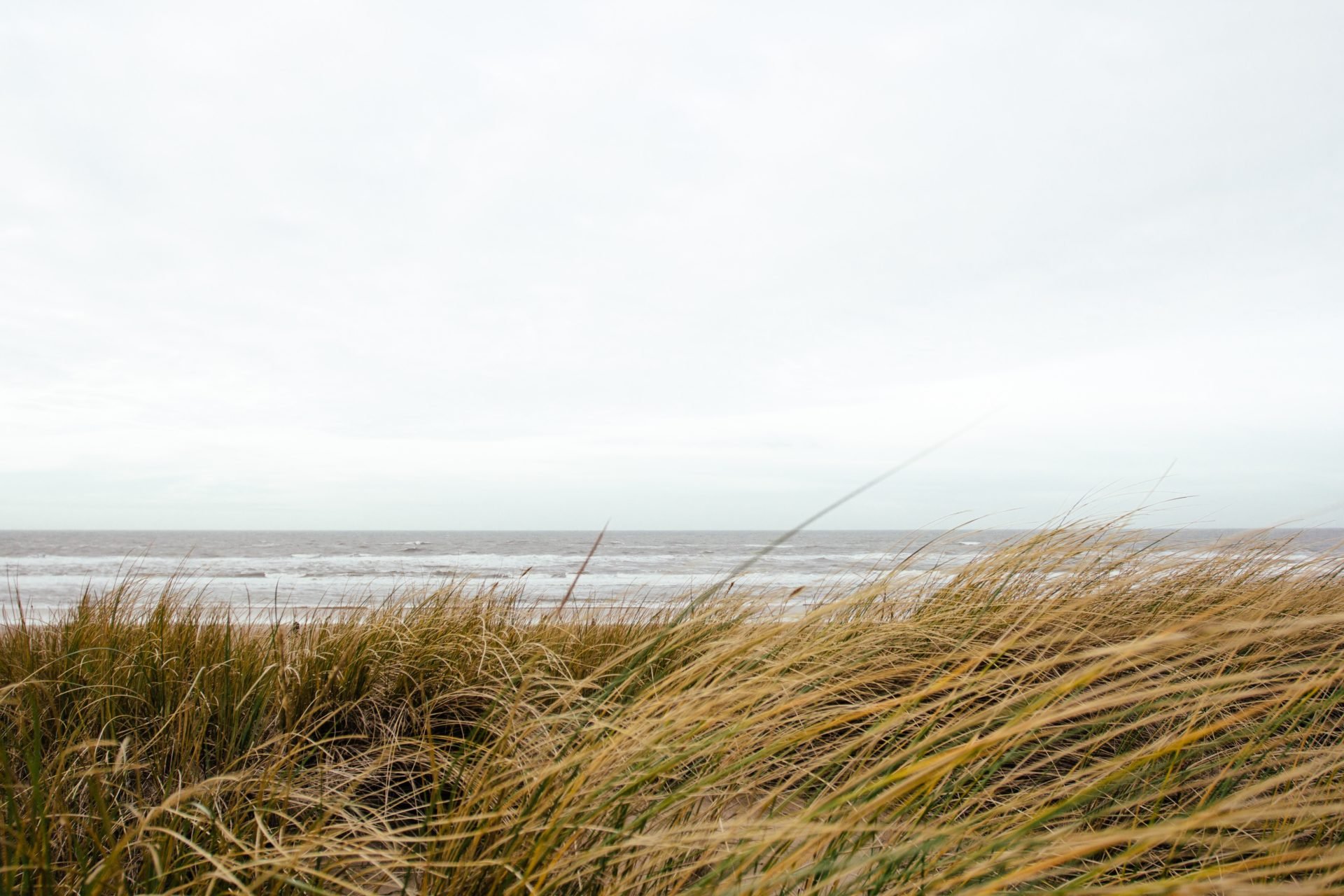 De eindeloze kust van Nederland