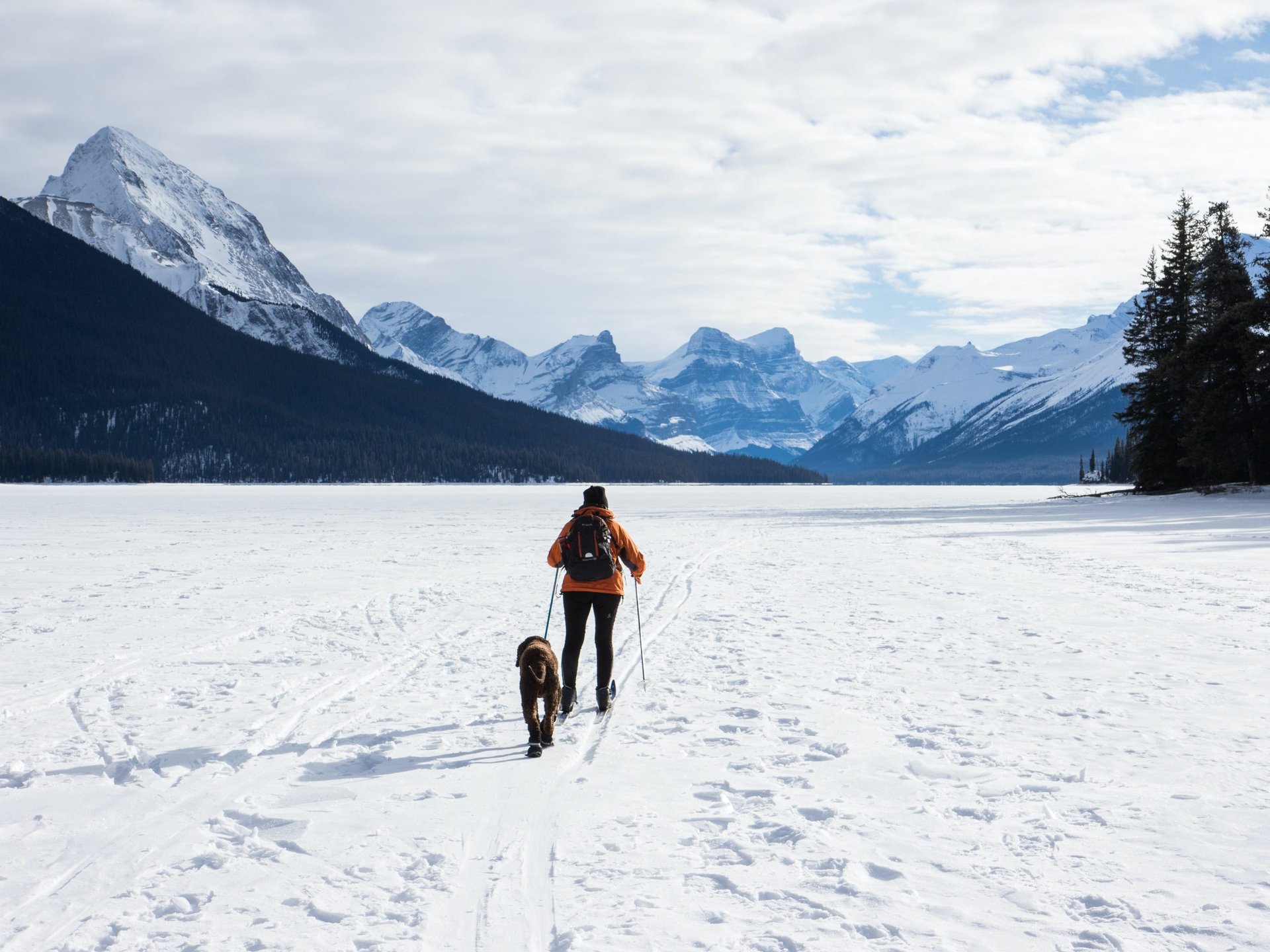 Frau beim Langlaufskifahren mit ihrem Hund in der Schweiz