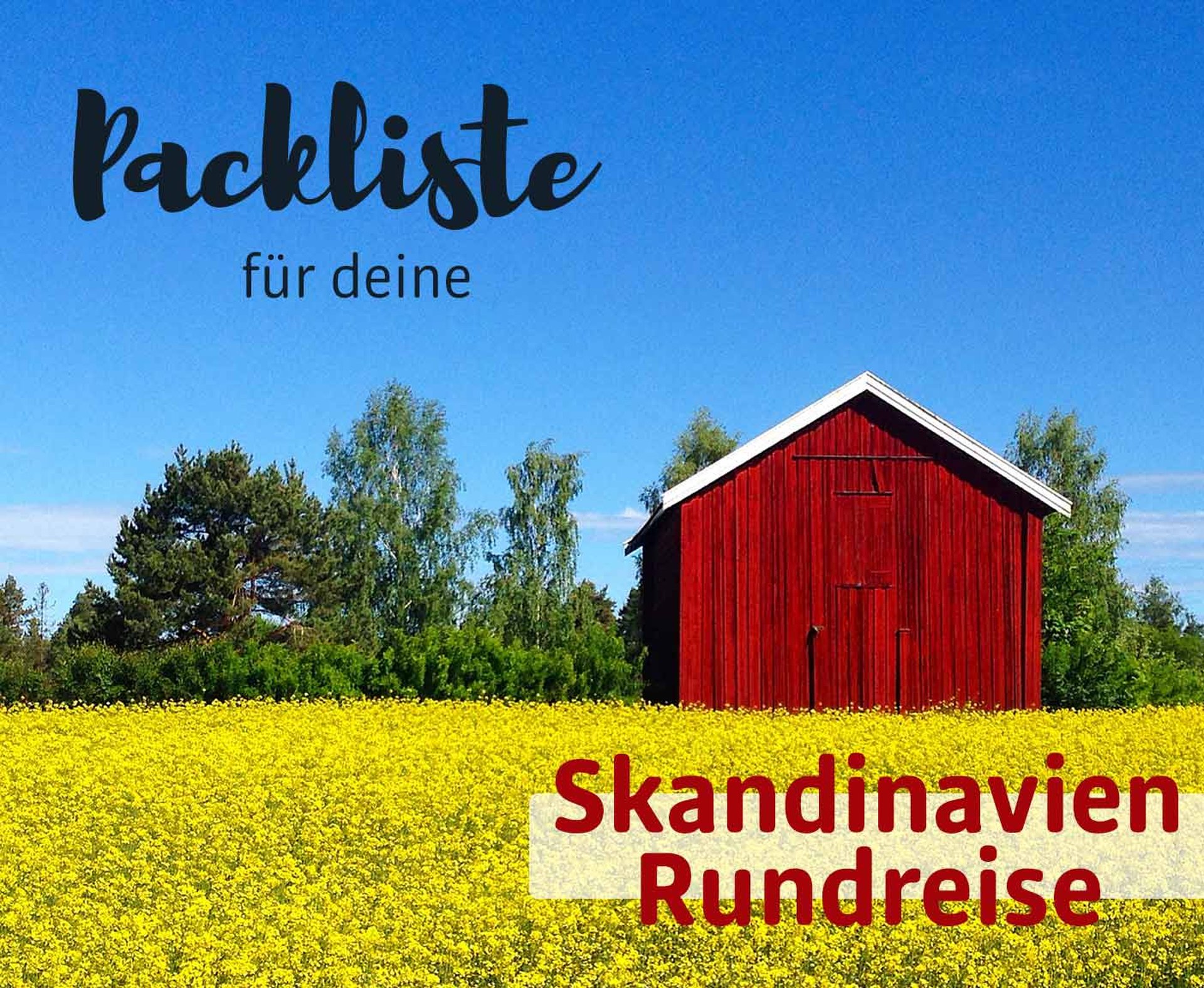 gelbes Feld mit rotem Holzhaus in Schweden, Packliste Camping mit PaulCamper