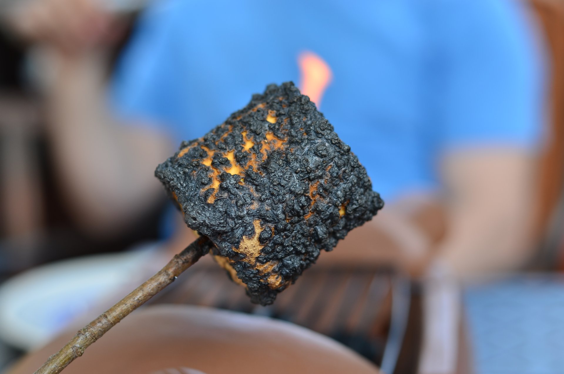 Campfire crackling under a starry sky, cooking charred snags on a stick.