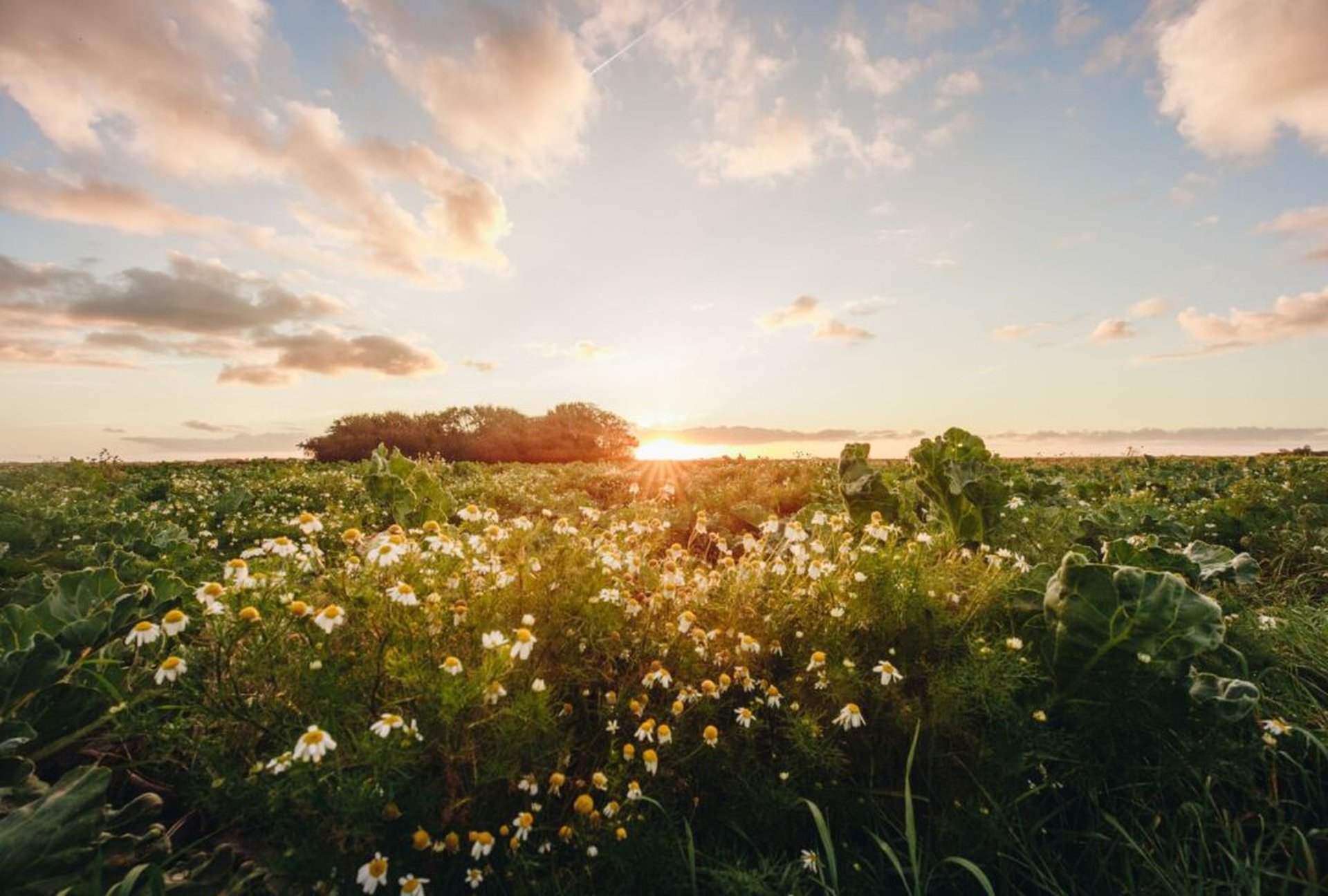 PaulCamper’s Roadtrip: Kamperen Texel