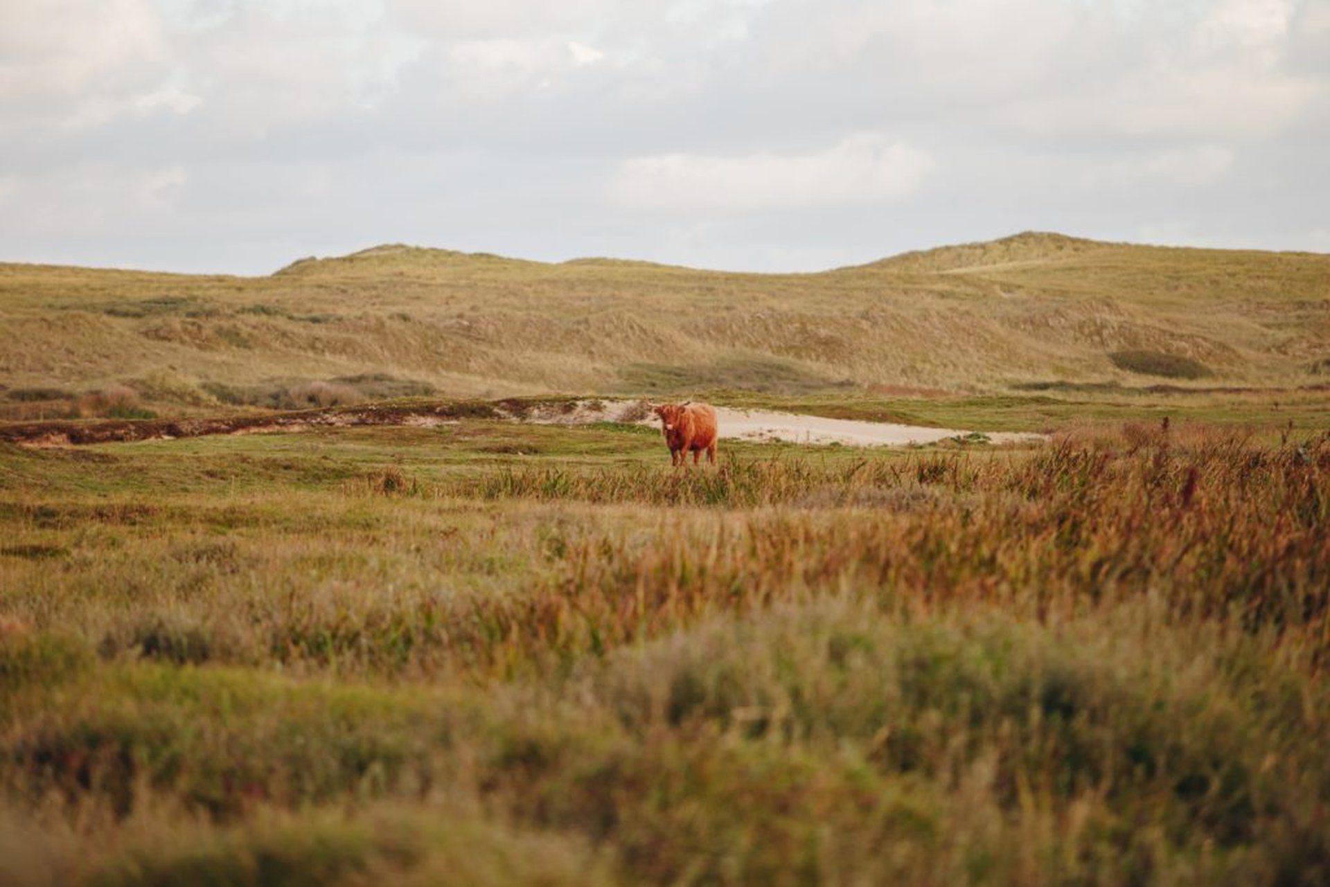 weekend weg september texel