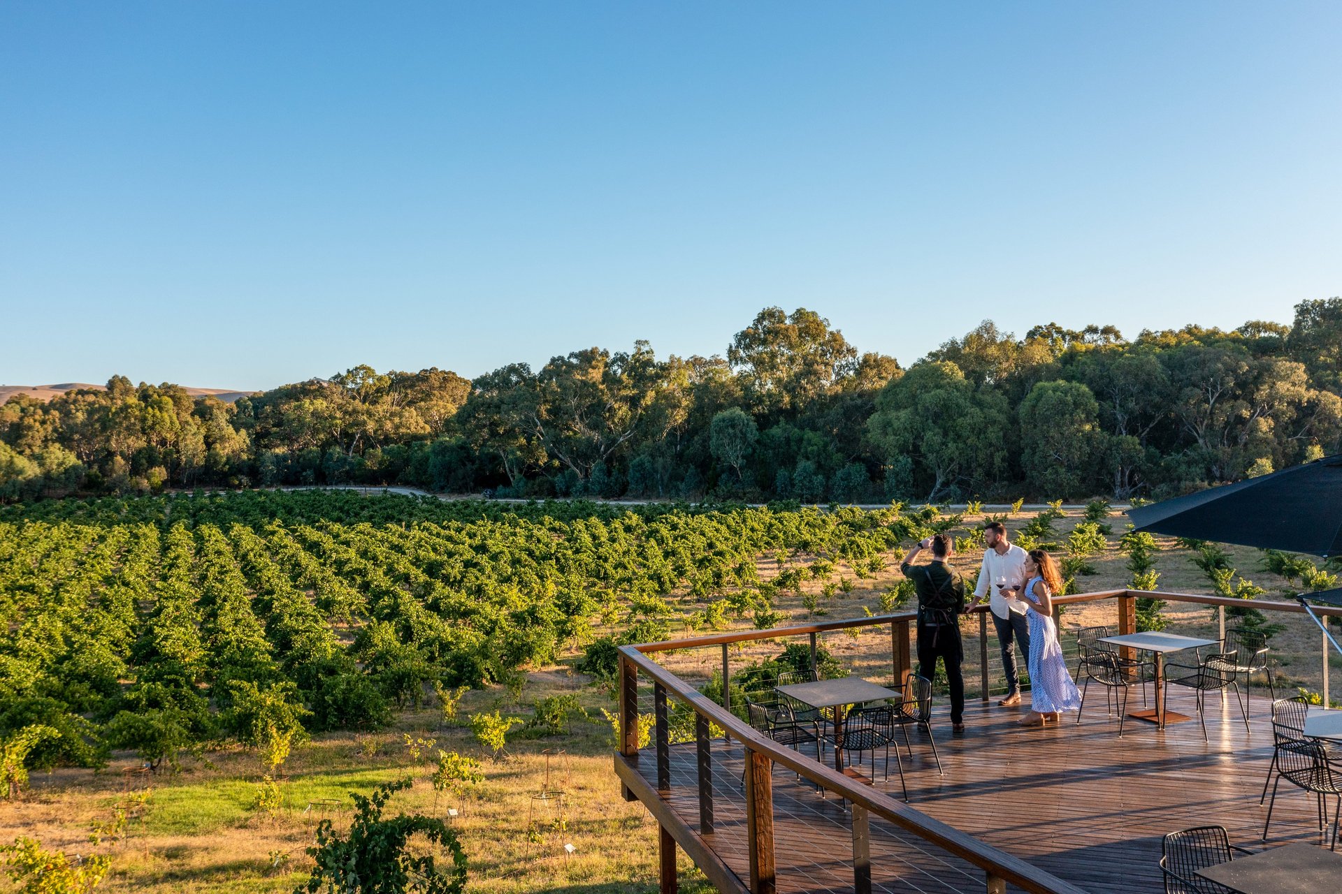 A couple stands on a wooden deck overlooking a lush vineyard with rows of grapevines and a backdrop of trees under a clear blue sky.