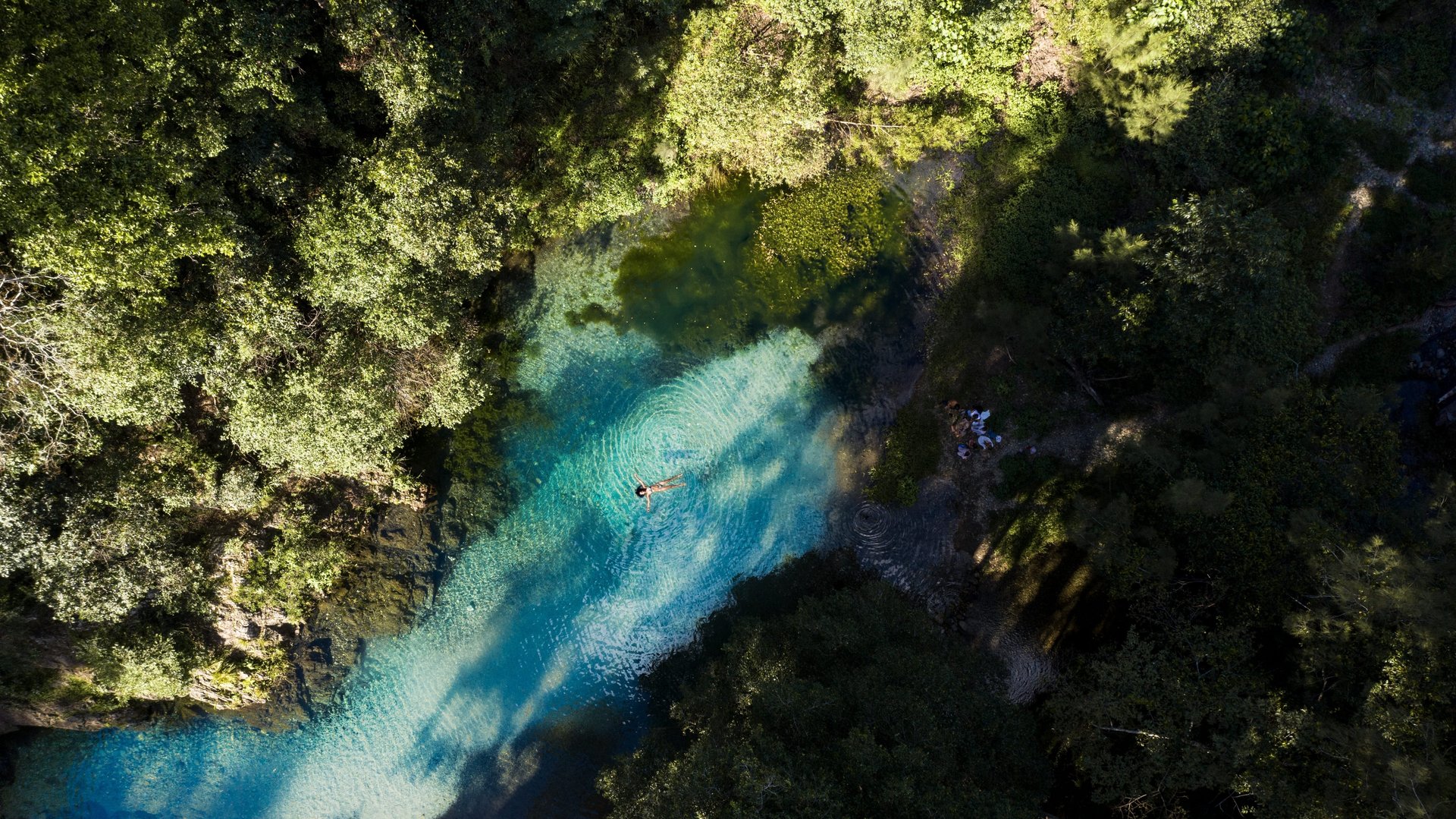 Aerial view of a person swimming in a clear blue river surrounded by dense green foliage, with sunlight casting shadows on the water.