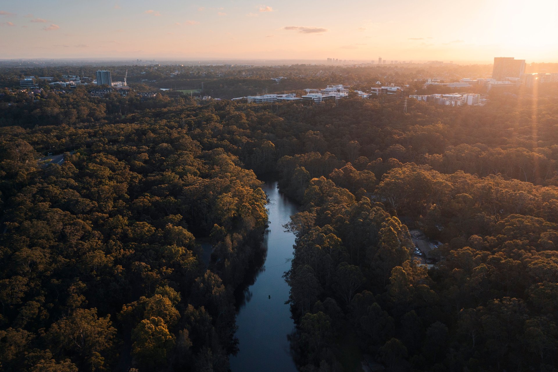 Aerial view of a river winding through a dense forest at sunset, with a city skyline in the distant background.