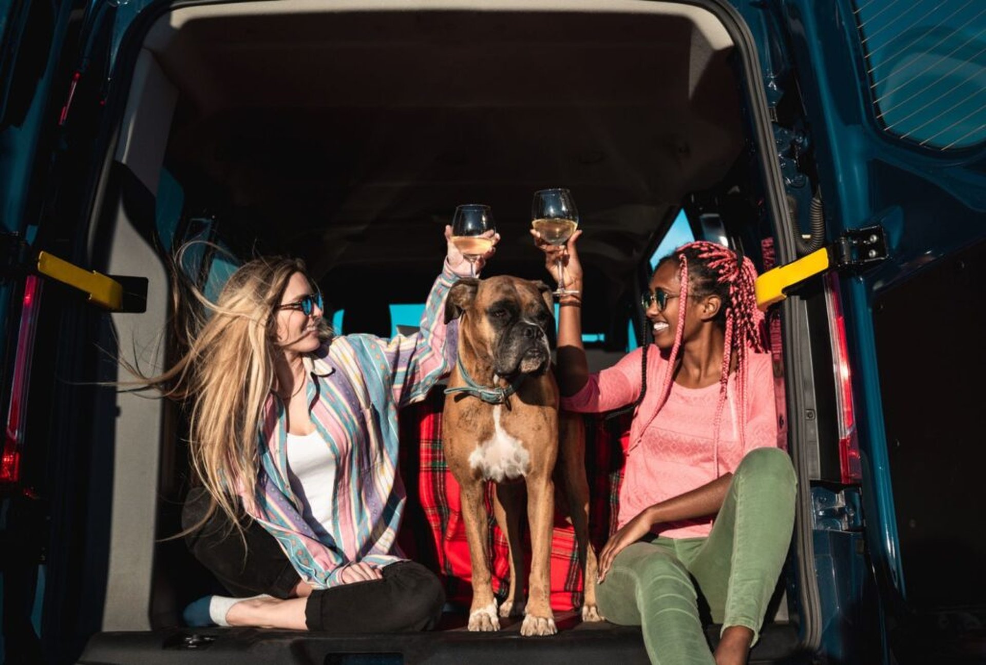 Deine Reisetipps für das Camping an der Mosel mit Hund im Herbst