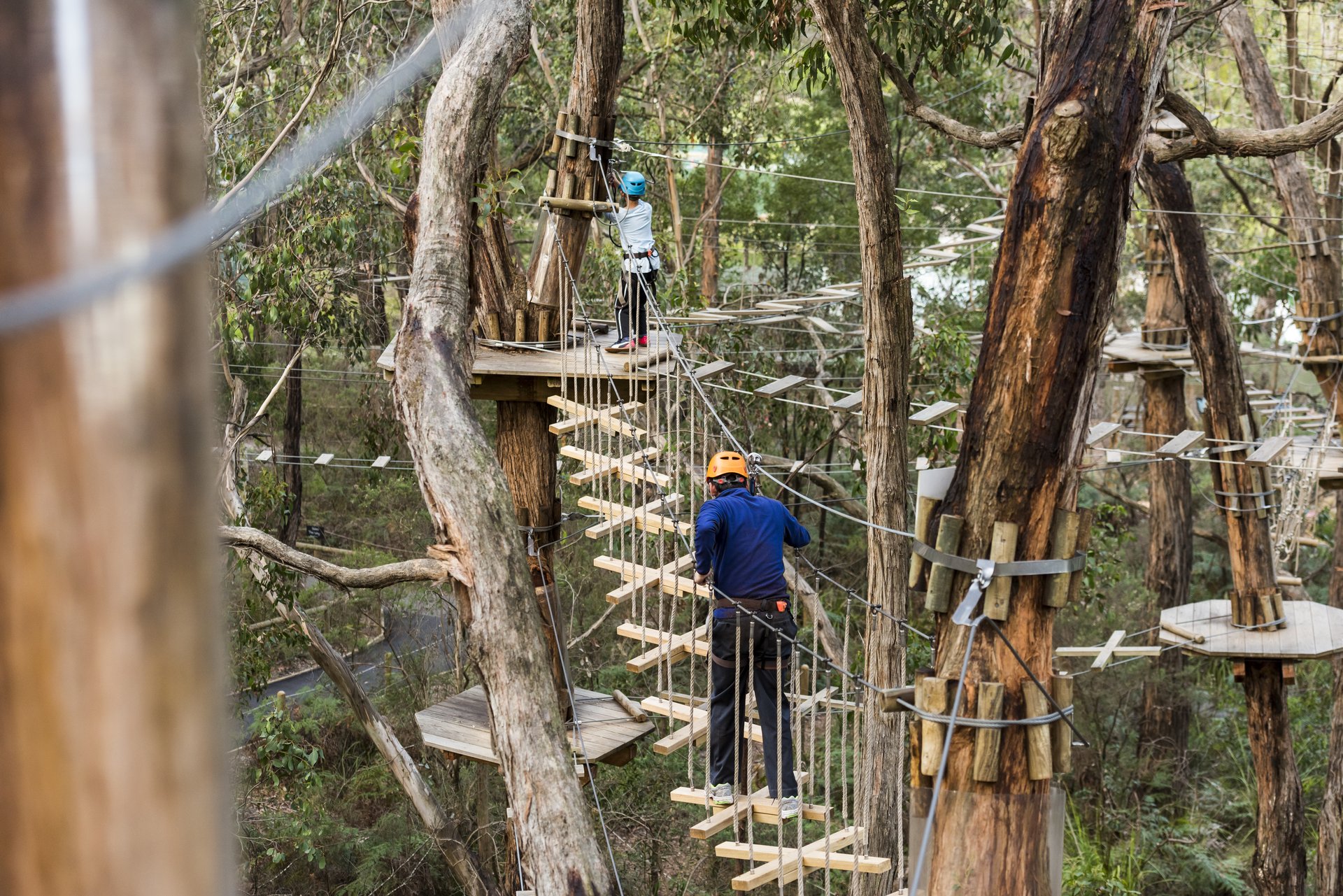 Enchanted Adventure Garden