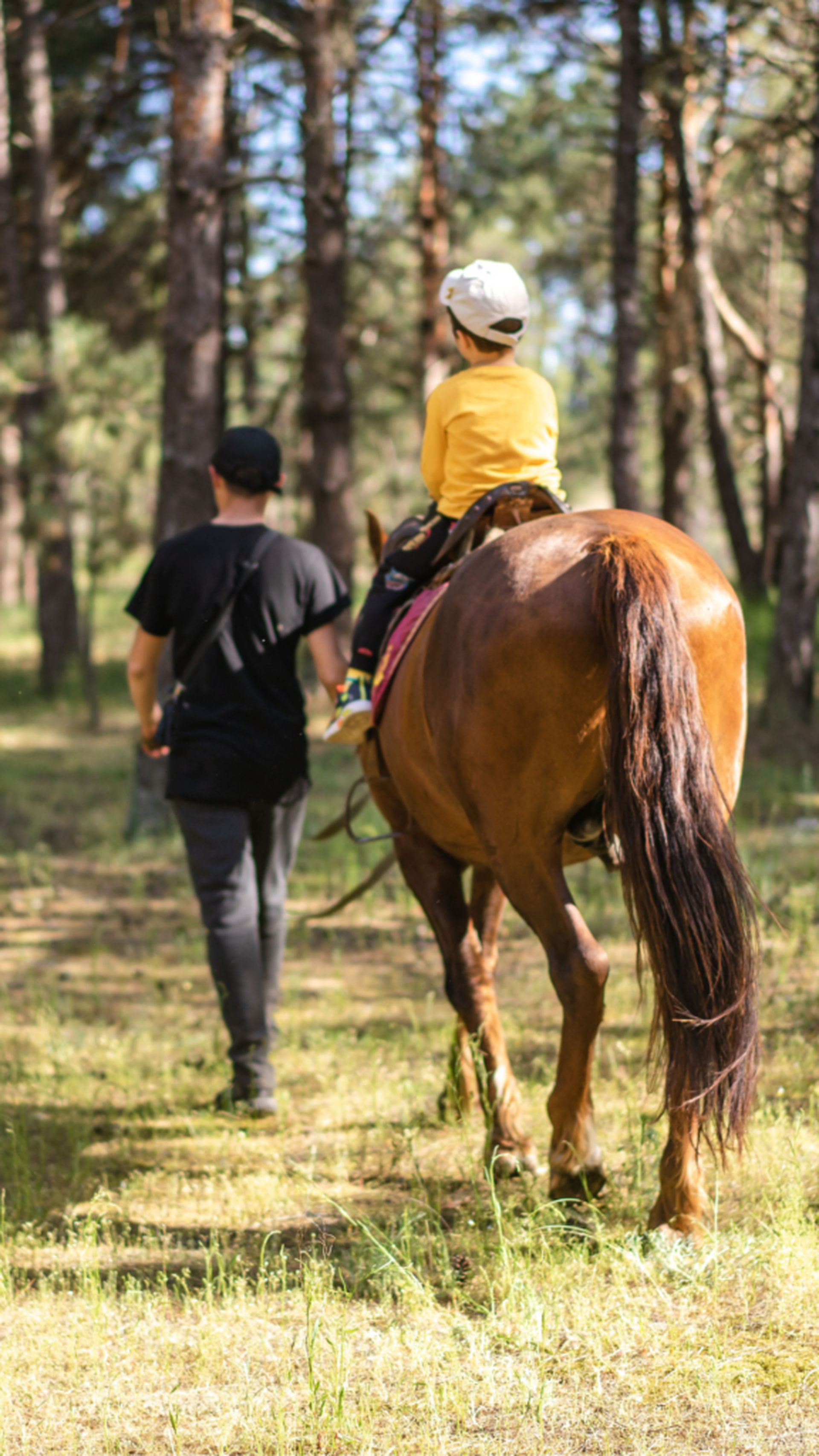 Campingplatz Lüneburger Heide – die sieben schönsten Plätze