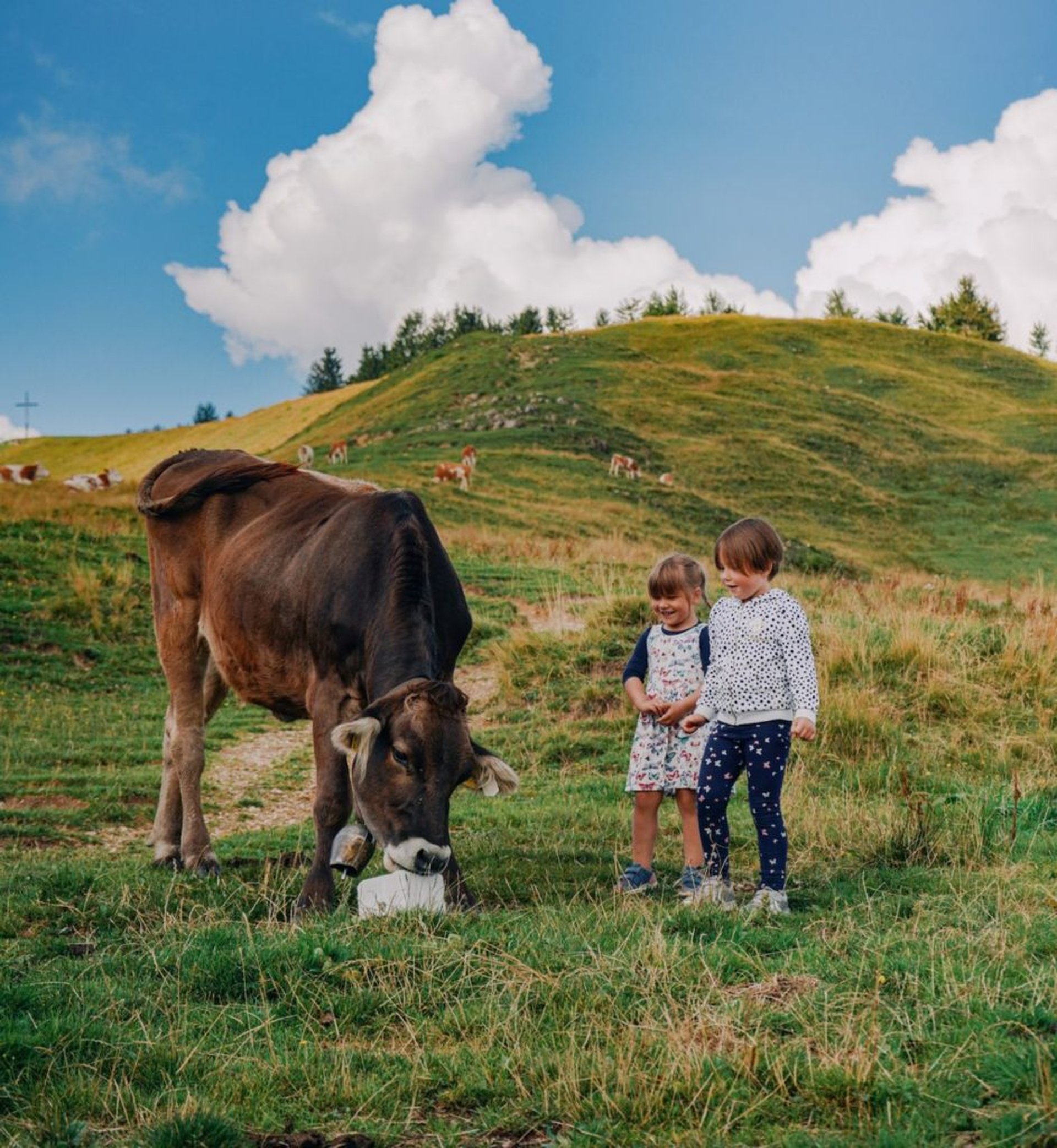 Camping am Bauernhof in Österreich – Erlebnisurlaub für die ganze Familie