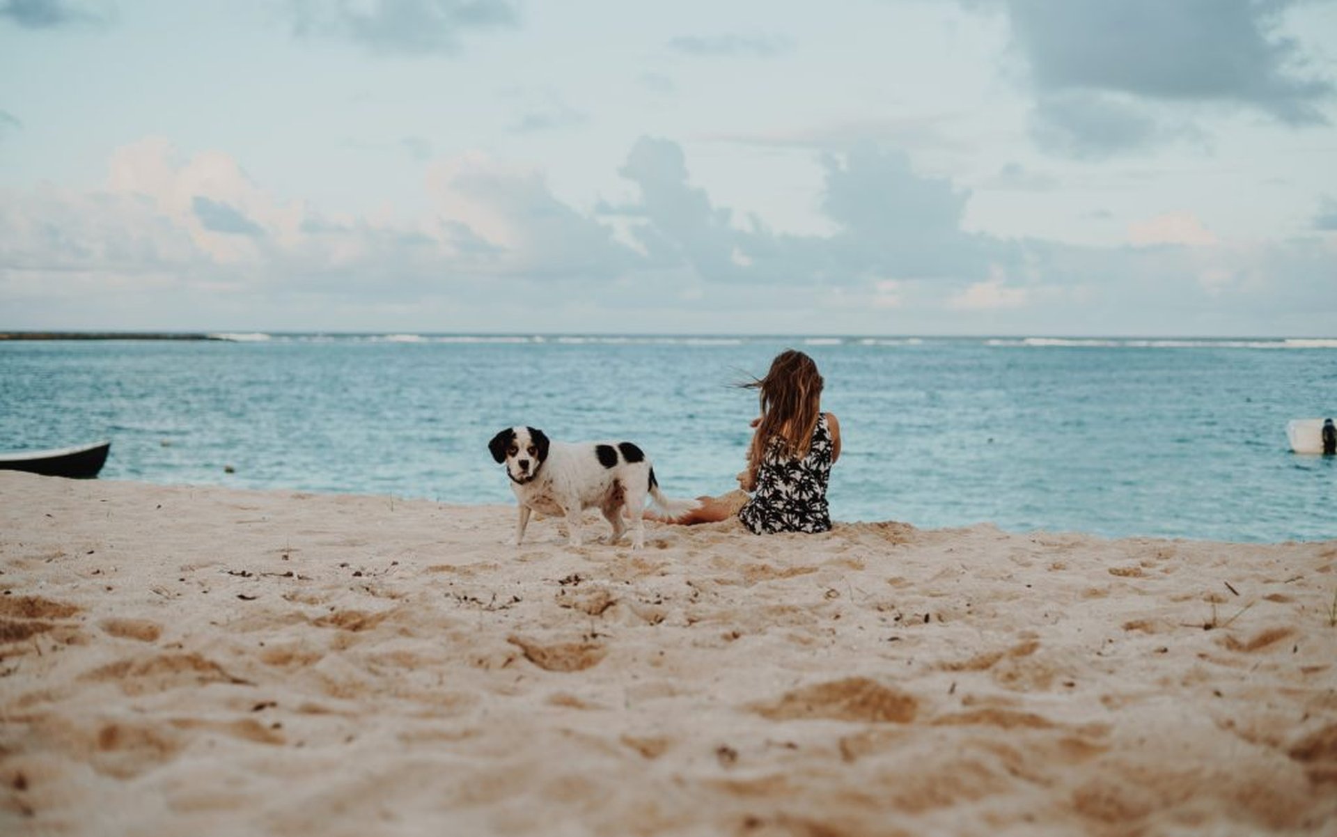 Urlaub mit Hund am Meer – das große Abenteuer wartet schon