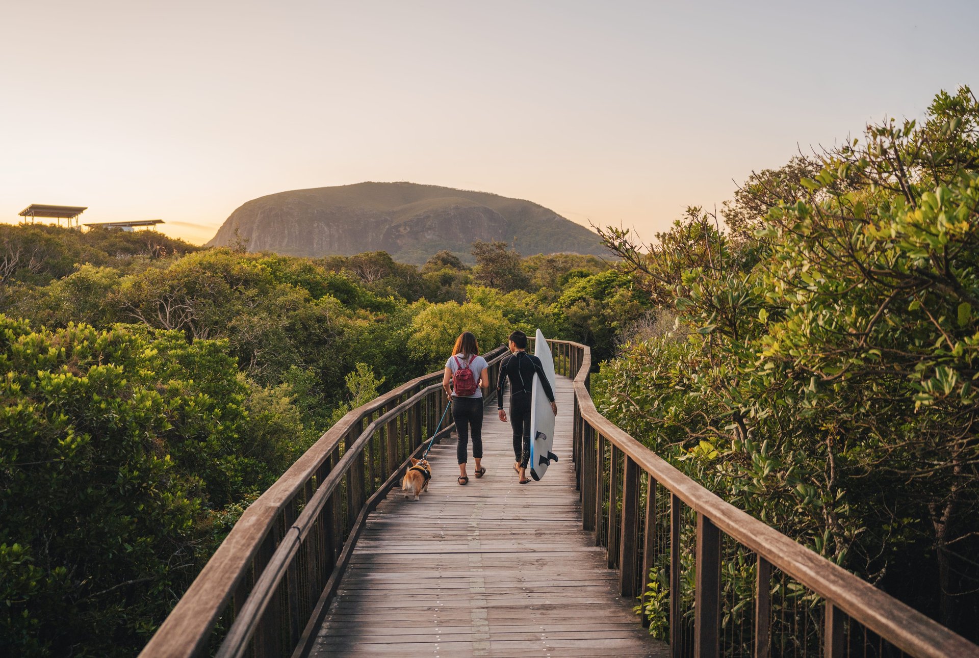 Two people walk a dog on a wooden path through lush greenery, one carrying a surfboard, with a mountain in the background at sunset.