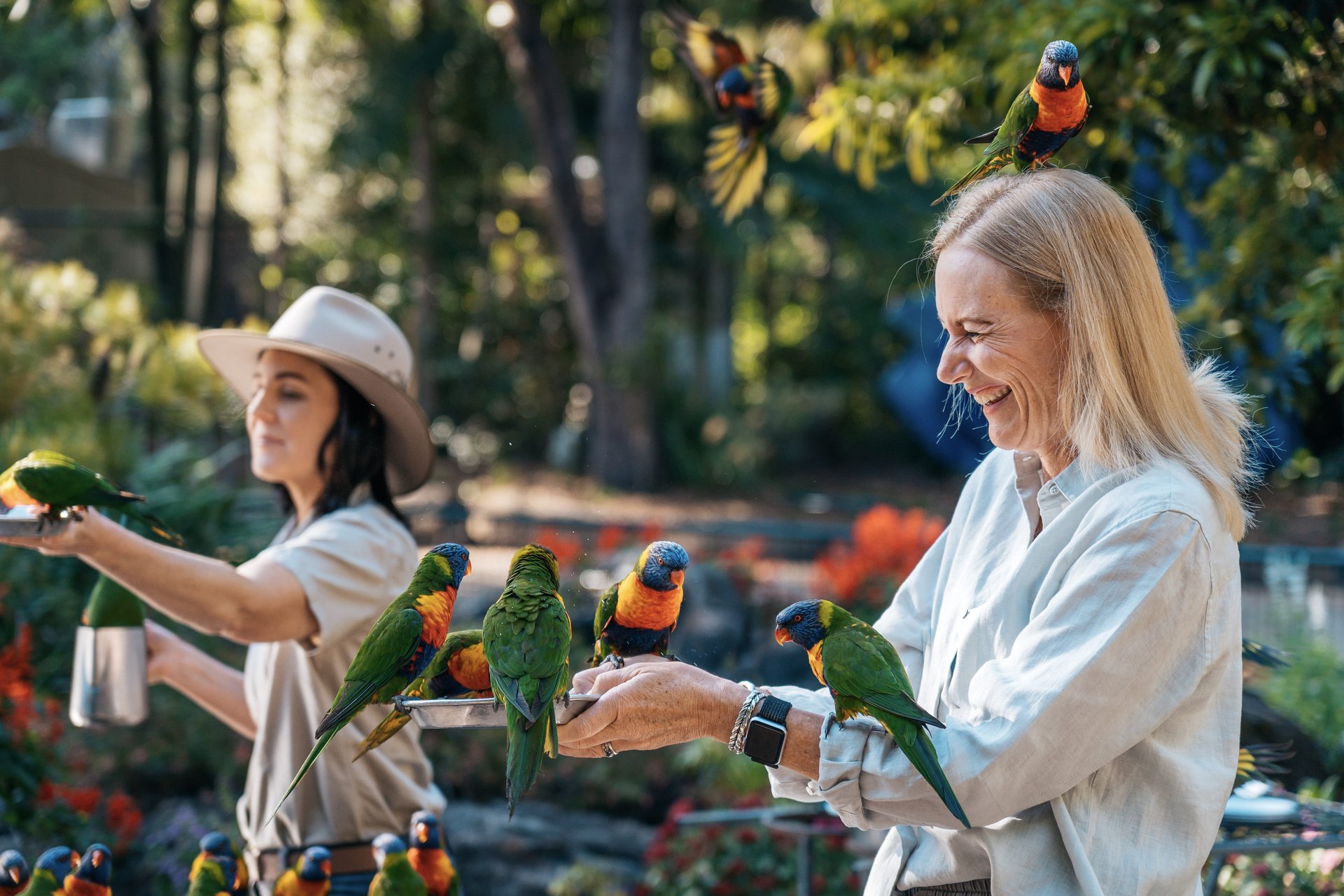 Two people feeding colorful parrots outdoors; one has a bird on their head. Bright foliage and sunlight in the background.